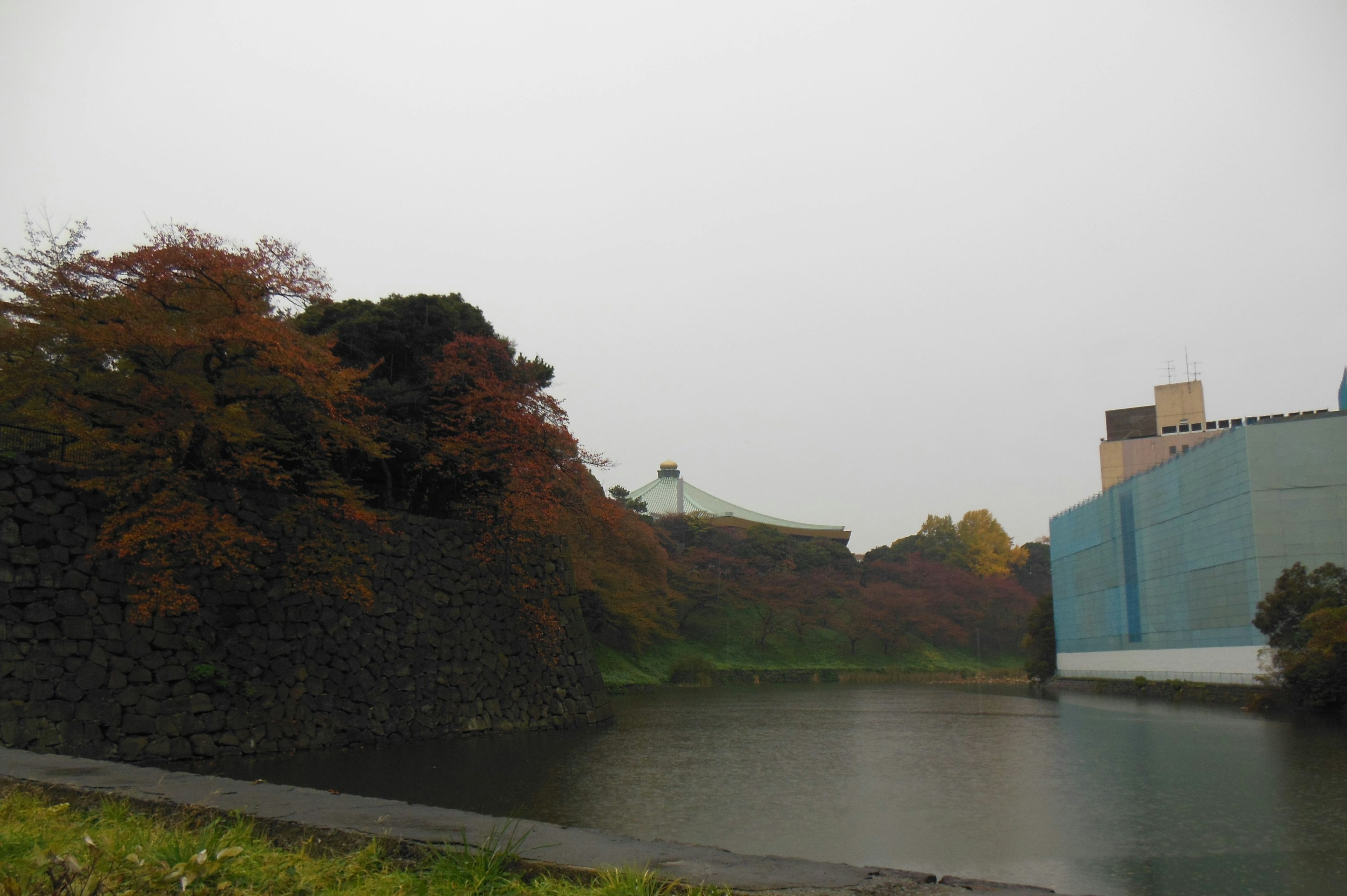 Landschaftsansicht eines Teiches mit Herbstlaub unter einem bewölkten Himmel