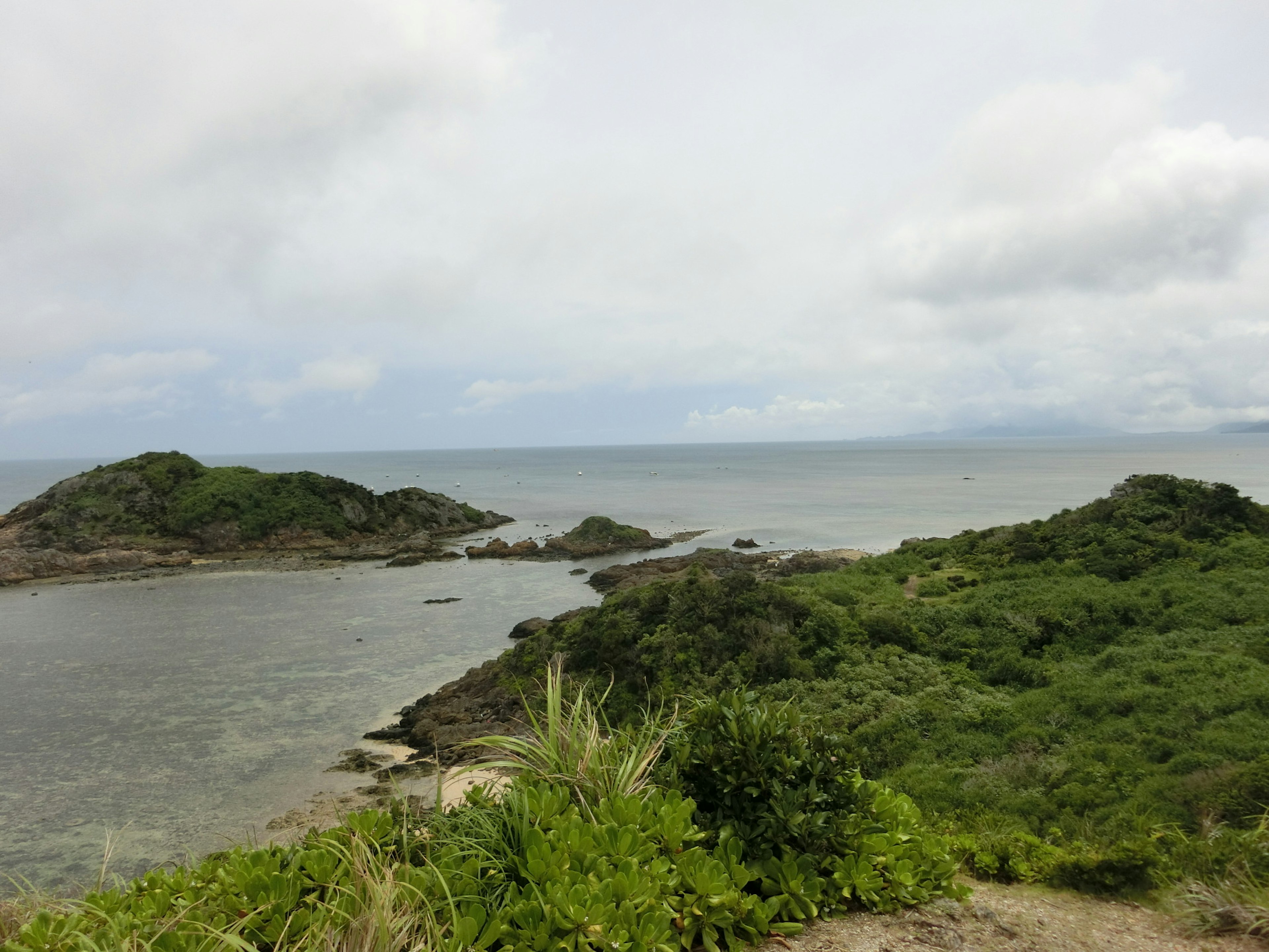 風景如畫的島嶼和海洋以及郁郁蔥蔥的綠色植物