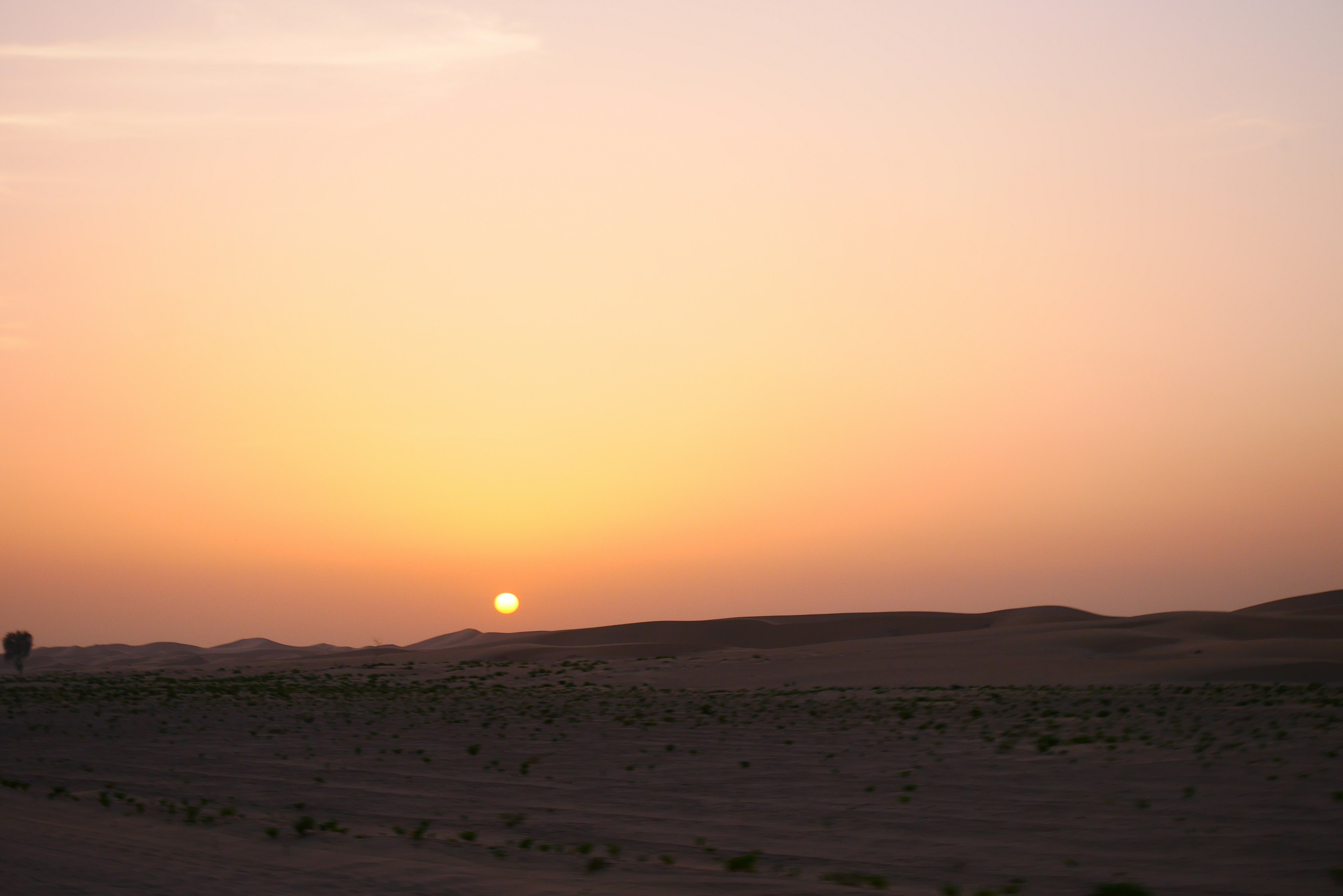 Schöner Sonnenuntergang über einer Wüstenlandschaft