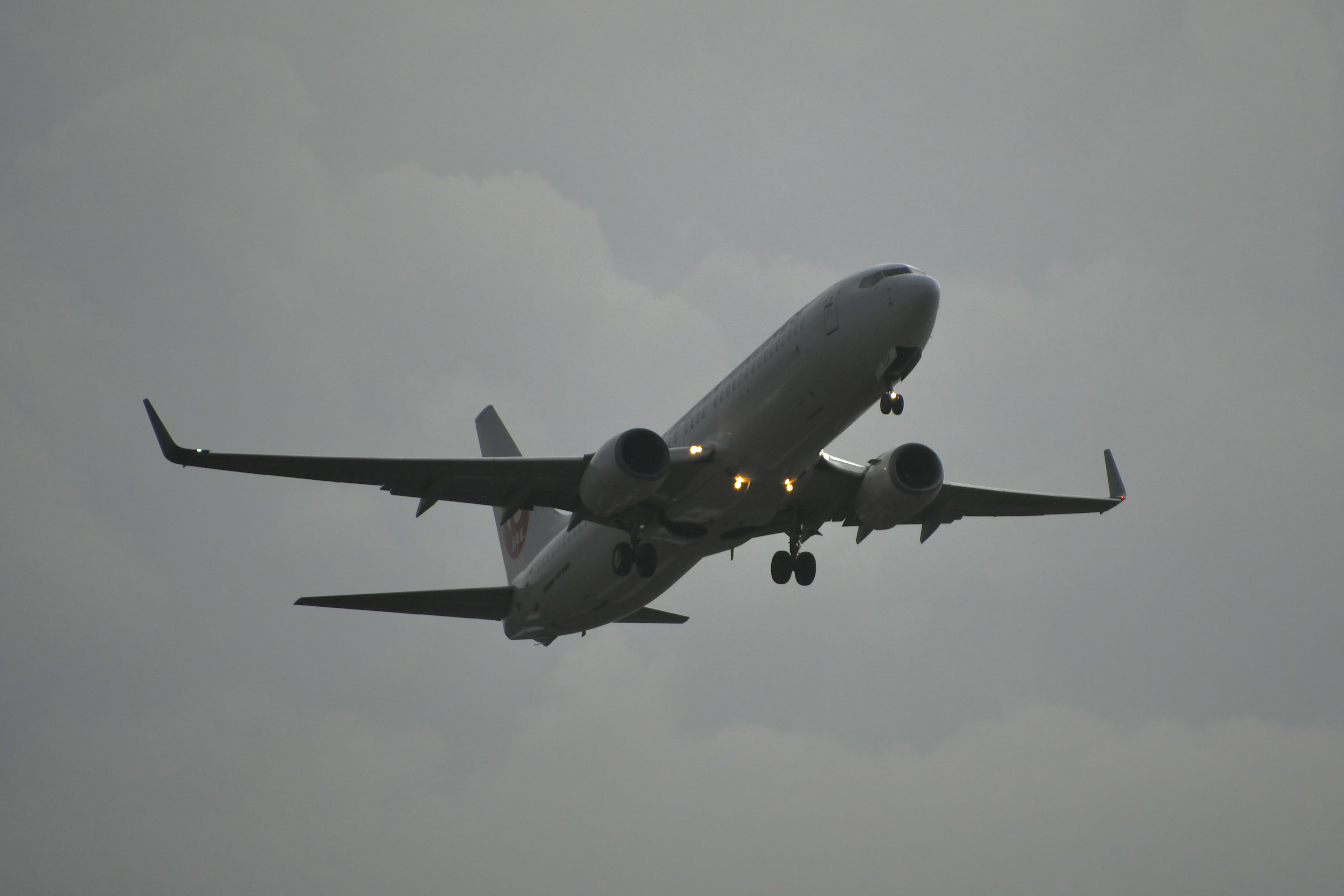 Avión de pasajeros volando contra un cielo gris