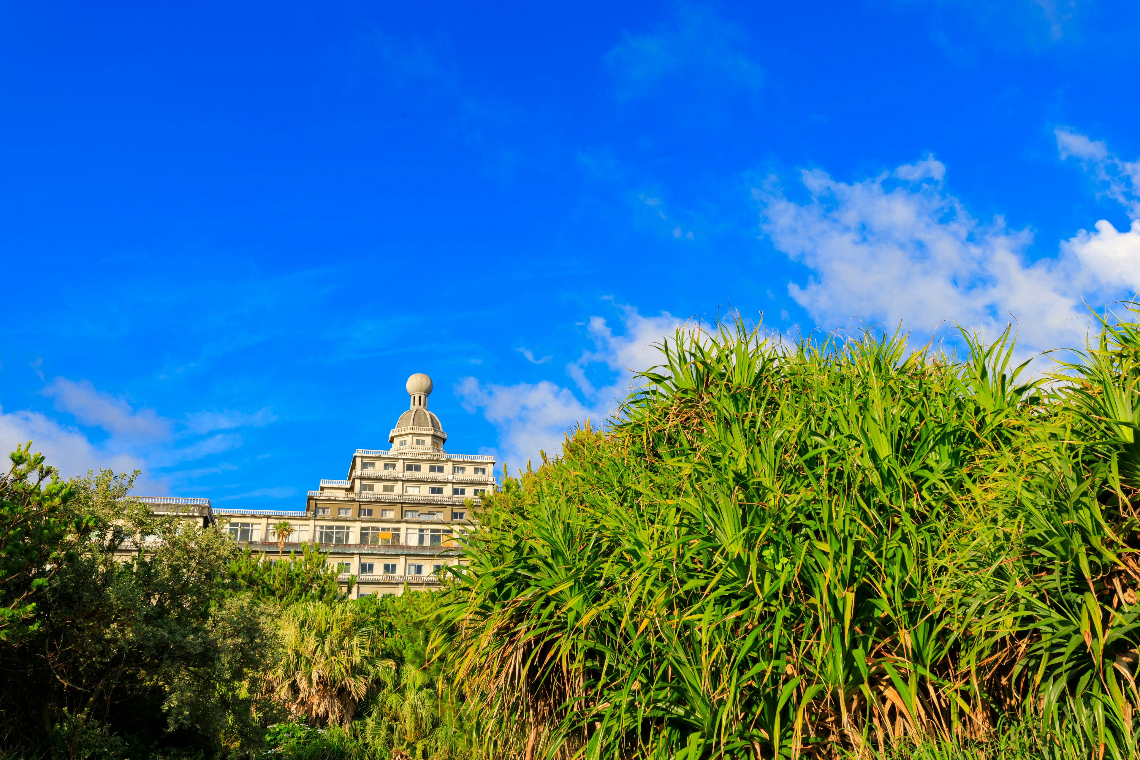 Vegetazione verde con un grande edificio sotto un cielo blu