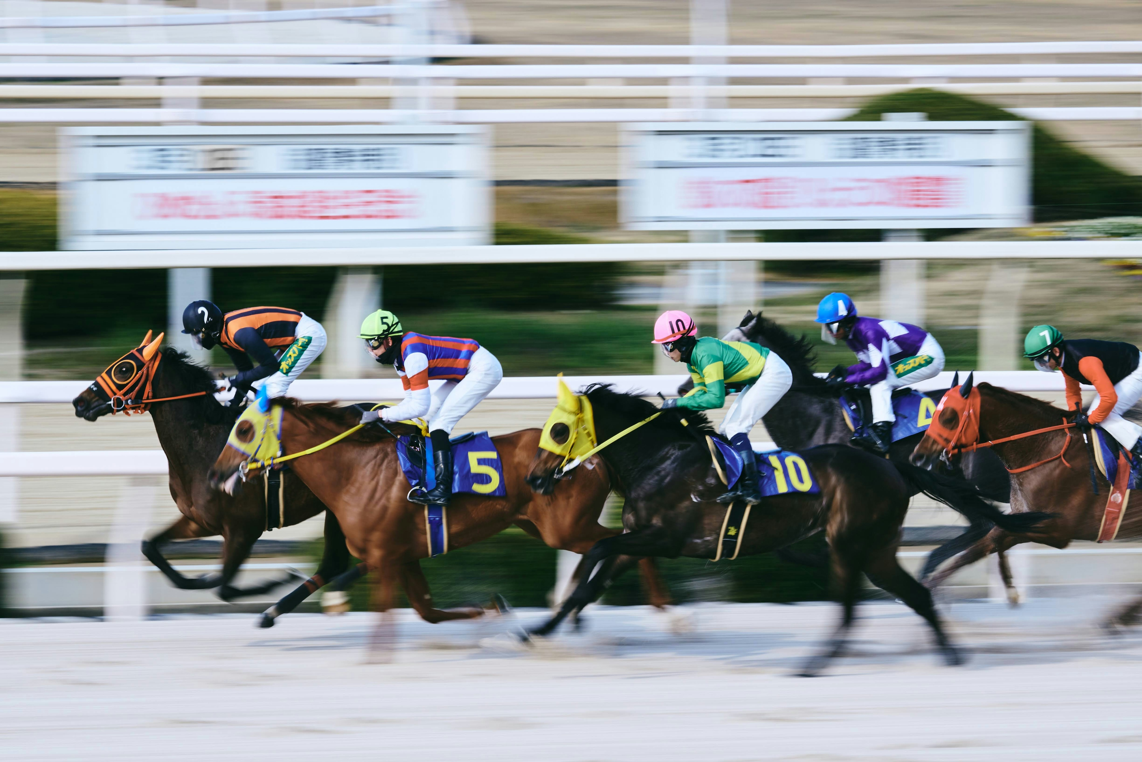 競馬のレース中の馬と騎手たちが疾走しているシーン