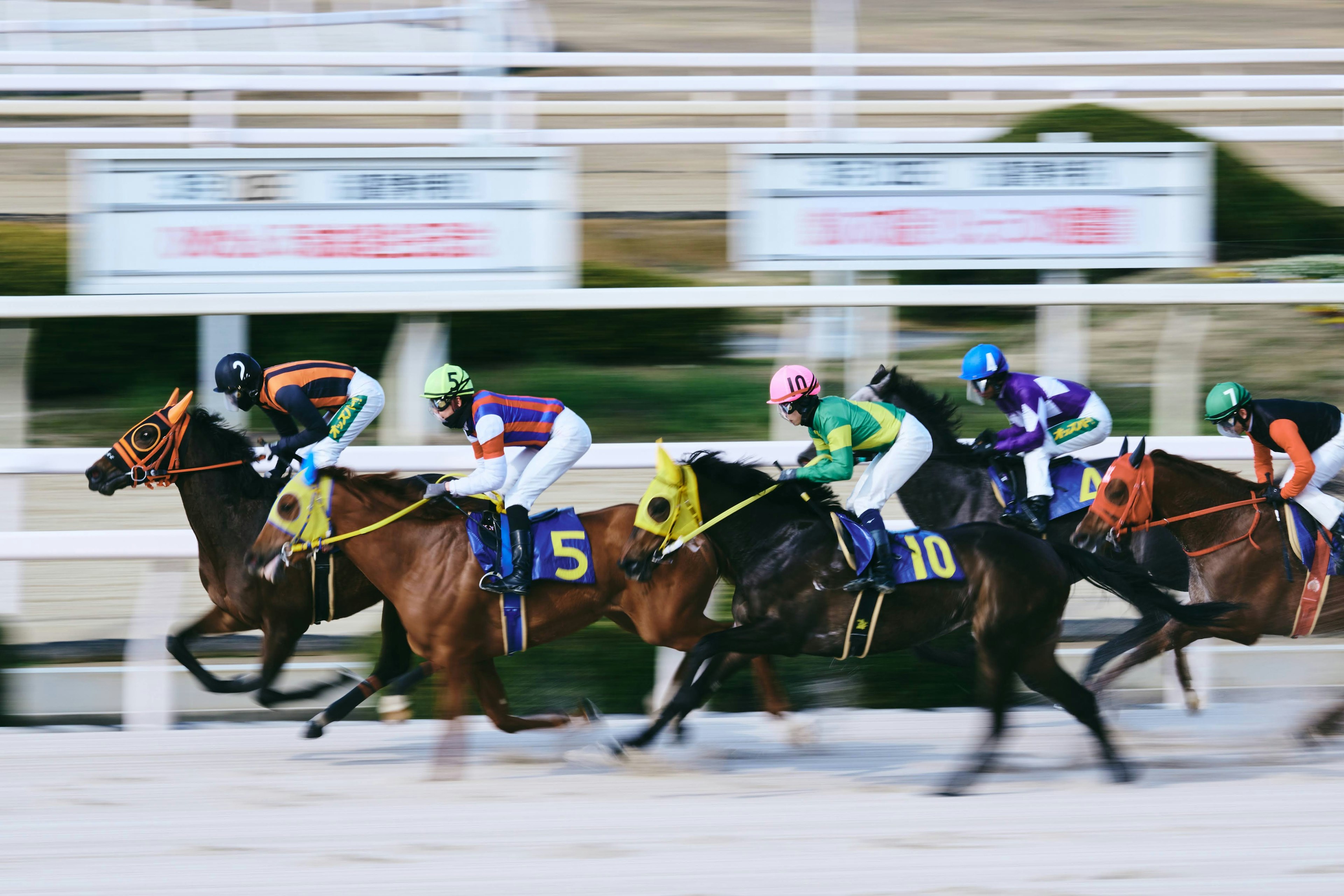 Horses and jockeys racing during a horse race