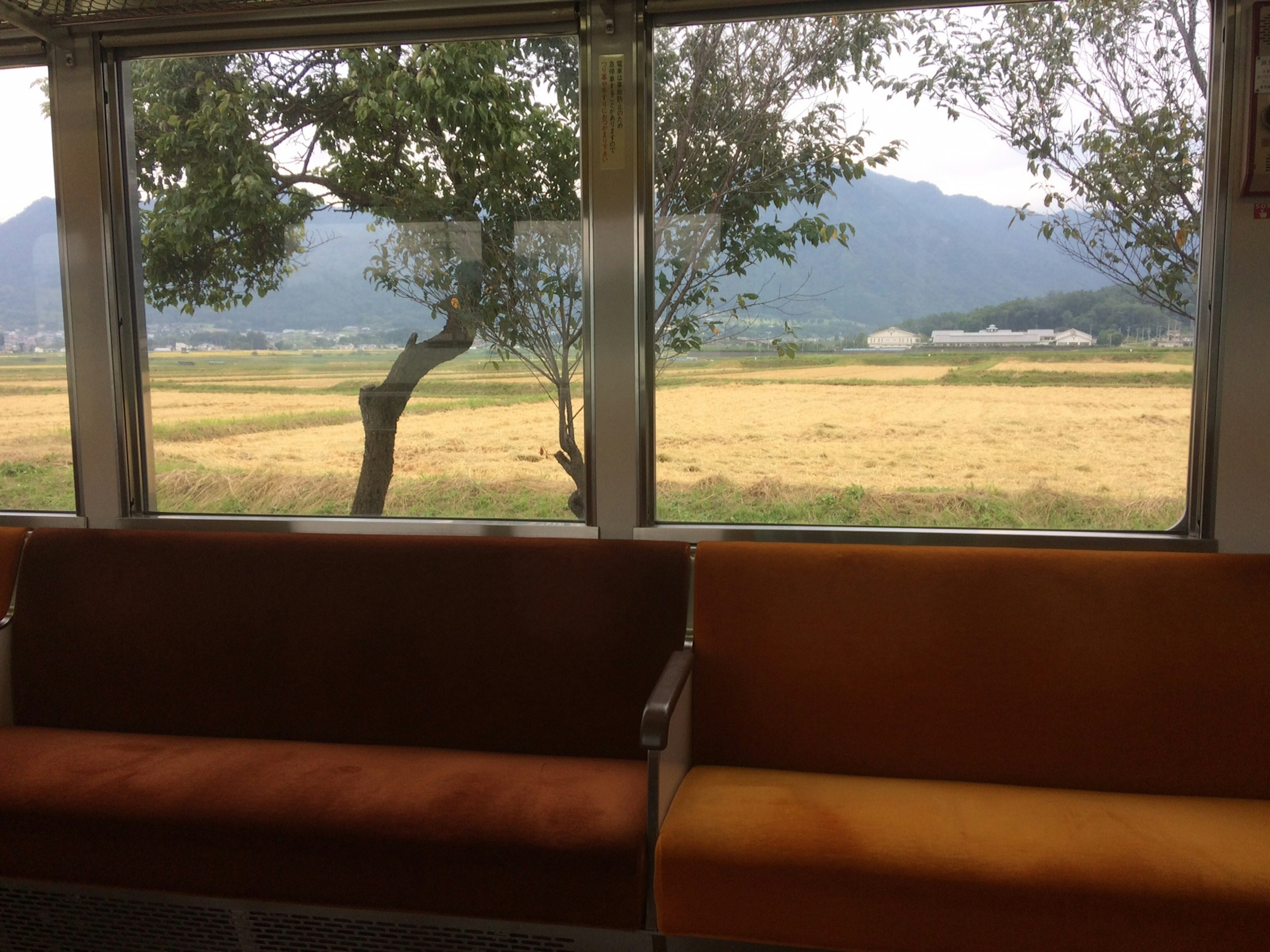 Intérieur d'un train montrant des sièges et une vue sur des champs et des montagnes à l'extérieur de la fenêtre