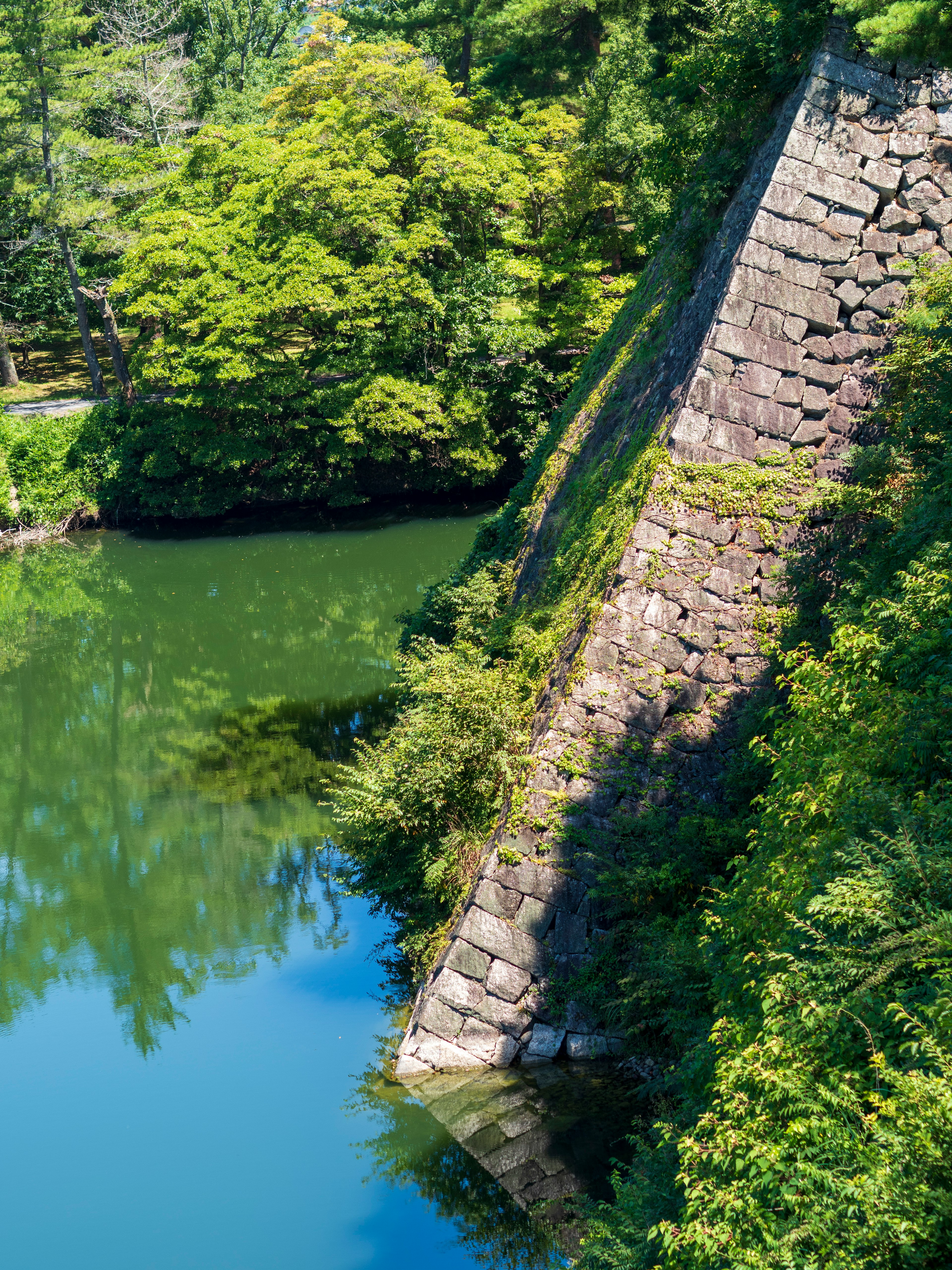 Steindamm umgeben von üppigem Grün und ruhigem Wasser