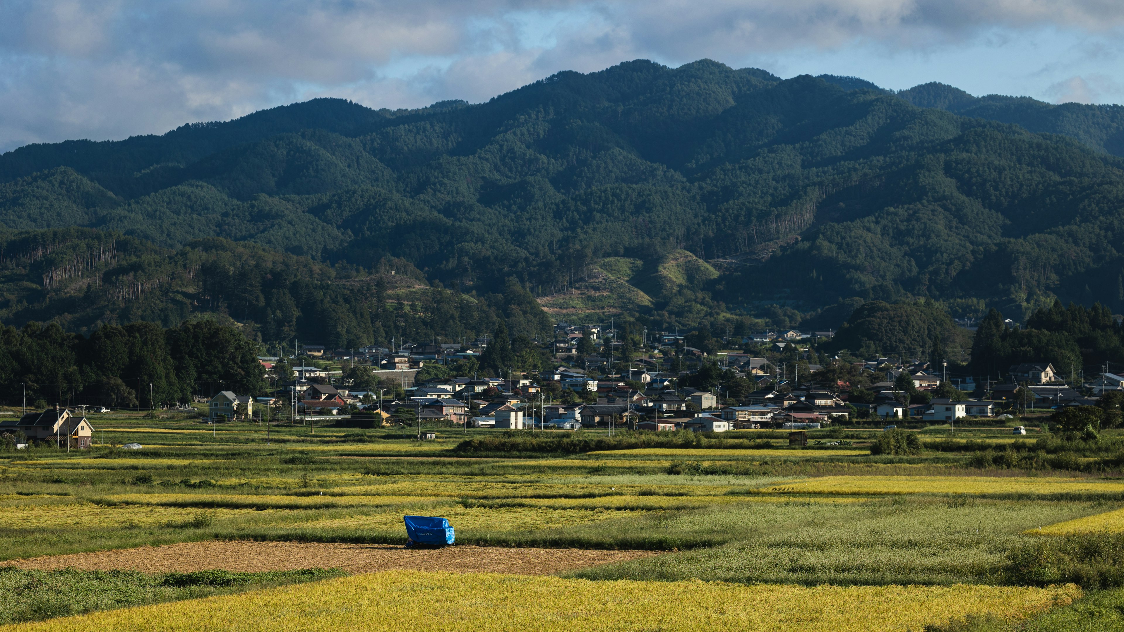 美しい田園風景と山々を背景にした村の風景 黄色い稲が広がっている