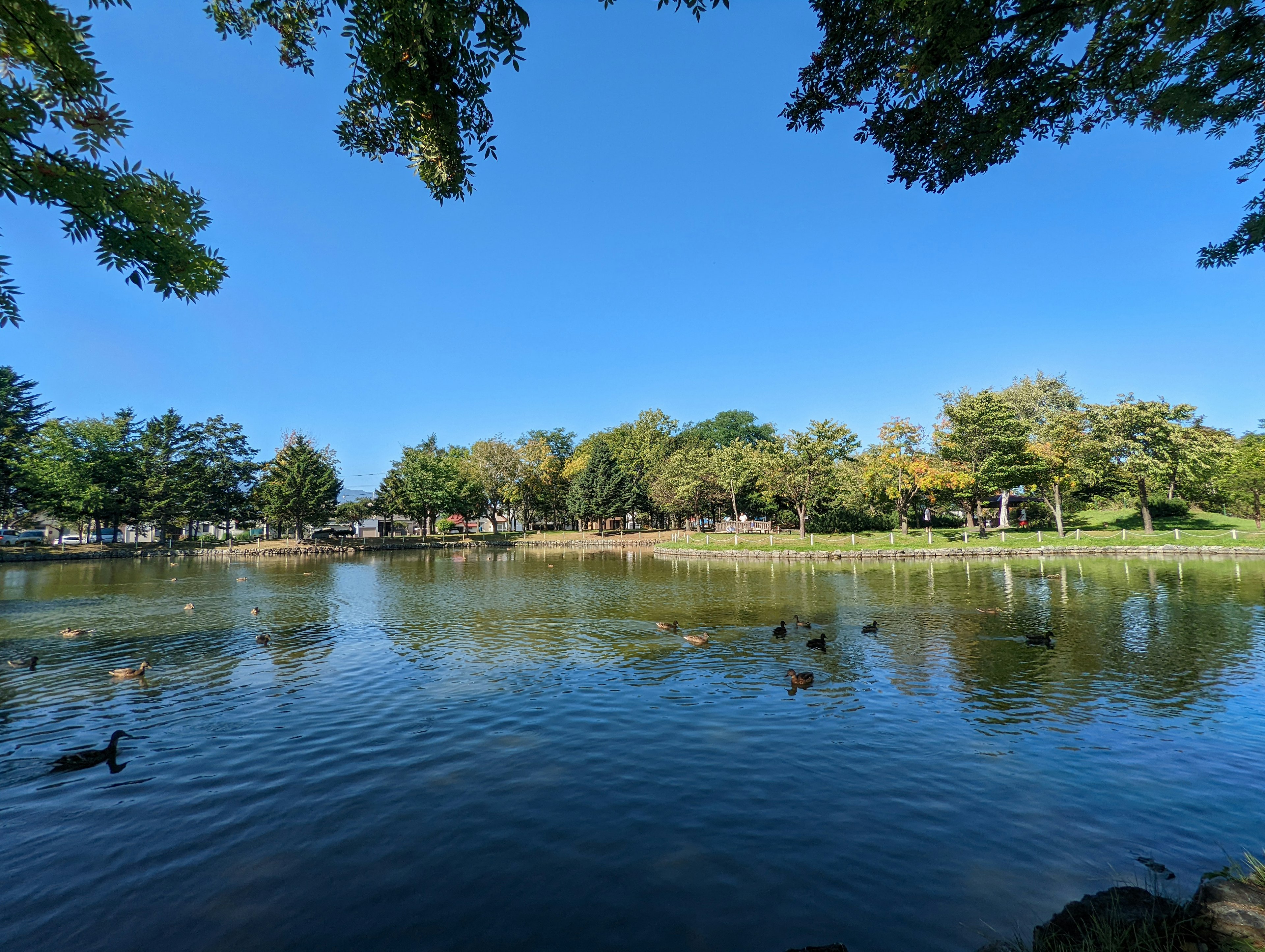 Lago tranquillo sotto un cielo blu con alberi verdi