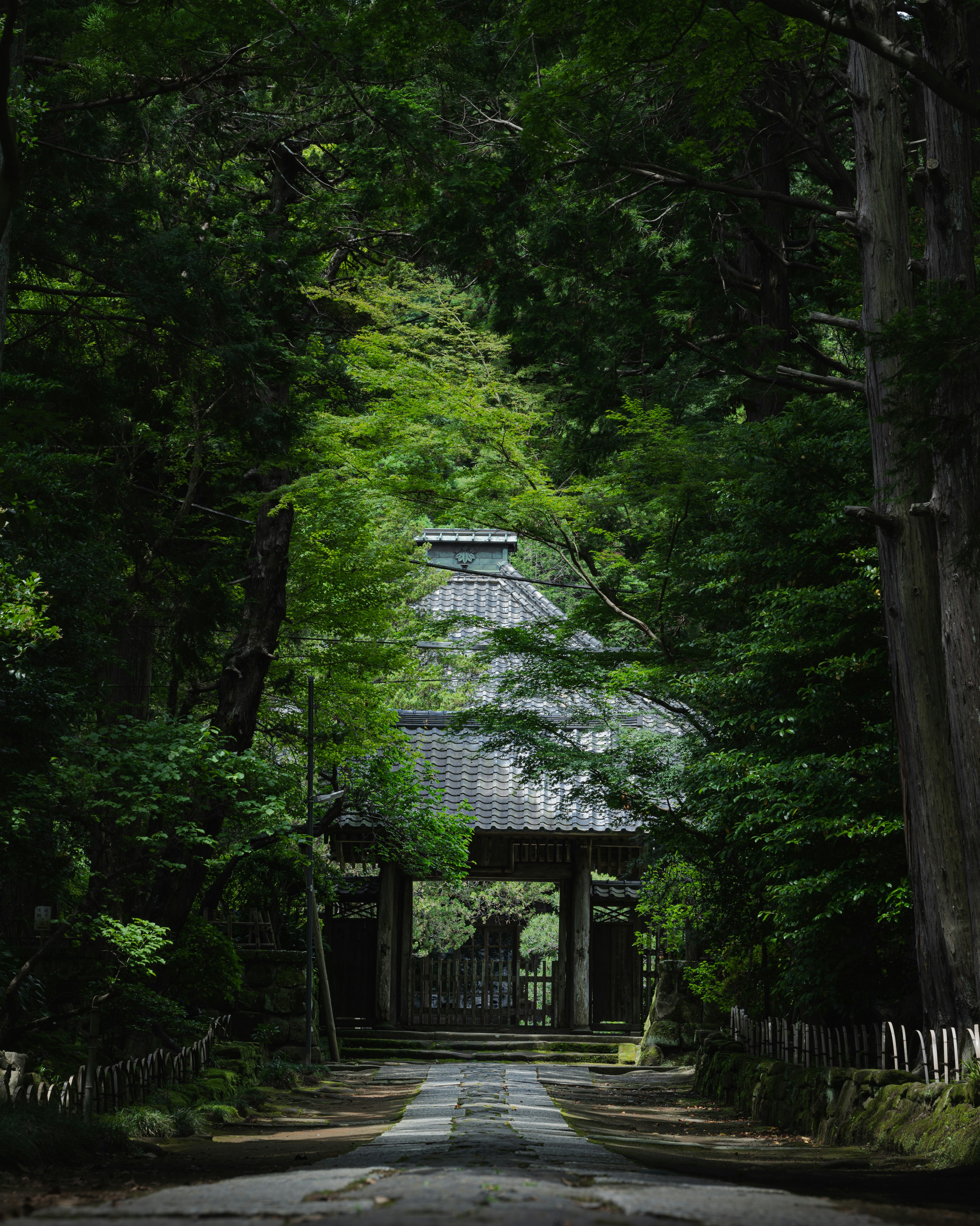 Serene temple gate surrounded by lush greenery