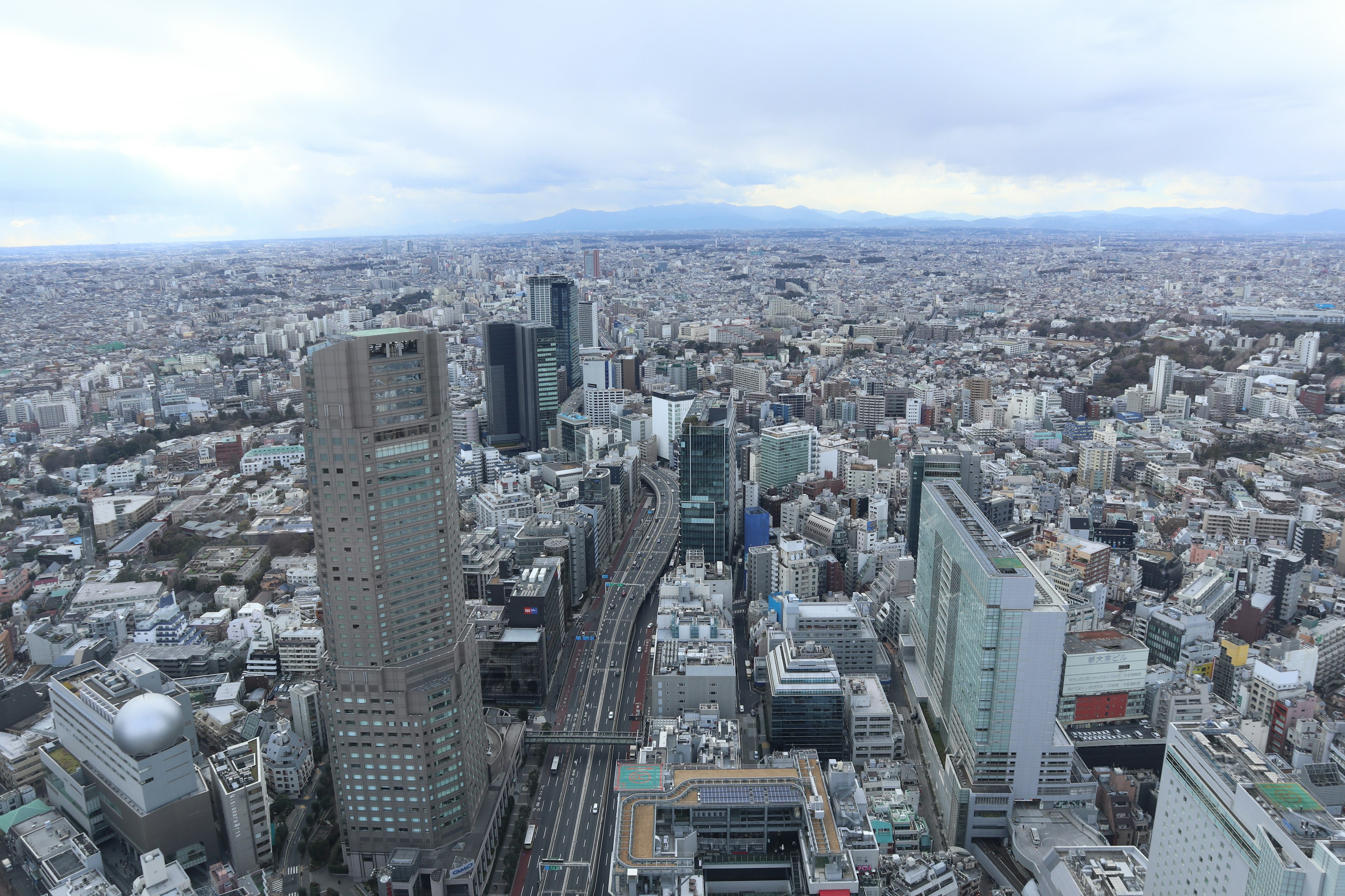 Panoramic view of Tokyo's skyscrapers and sprawling cityscape