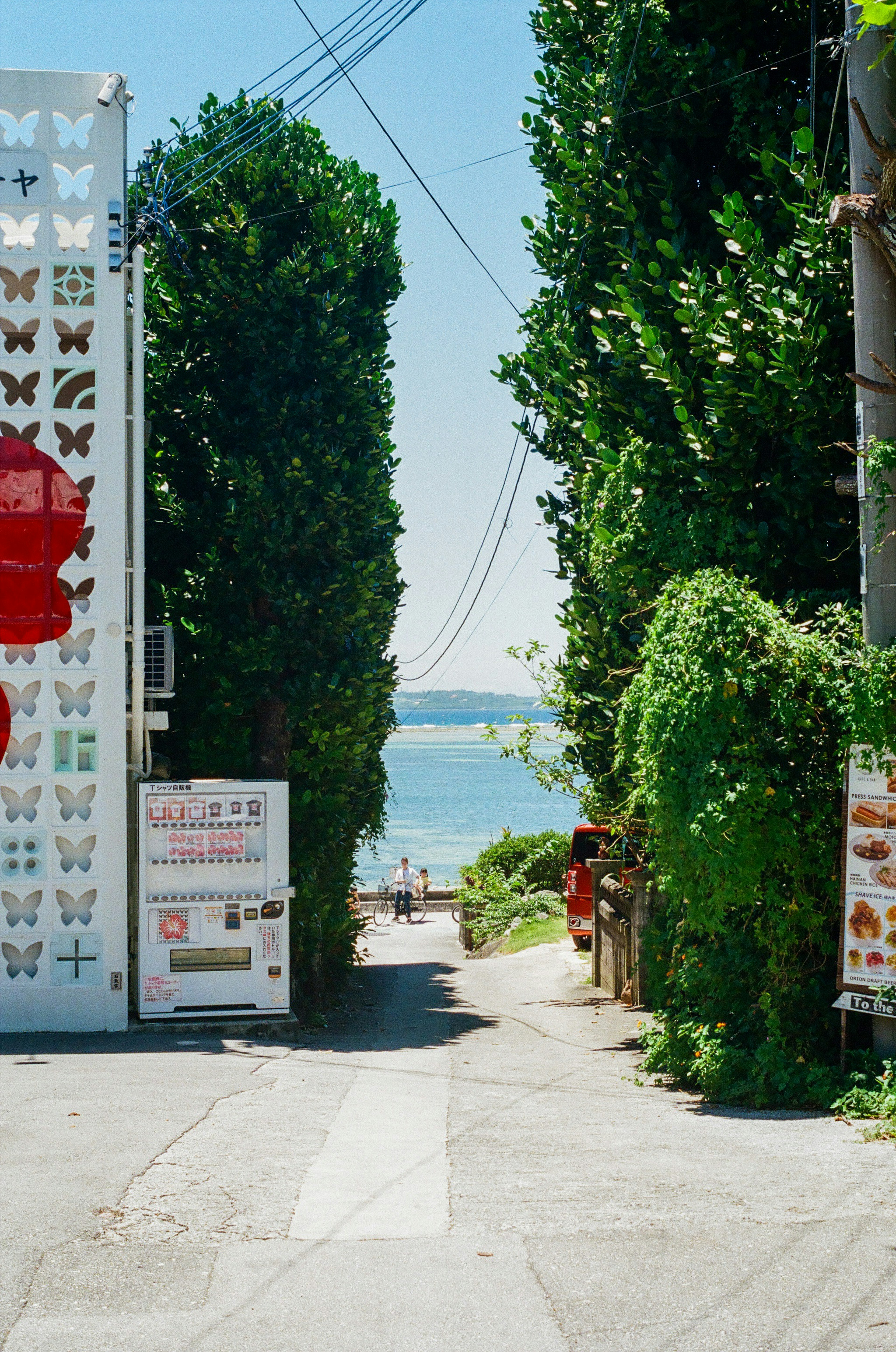 Camino que lleva al mar con pared de diseño de mariposas