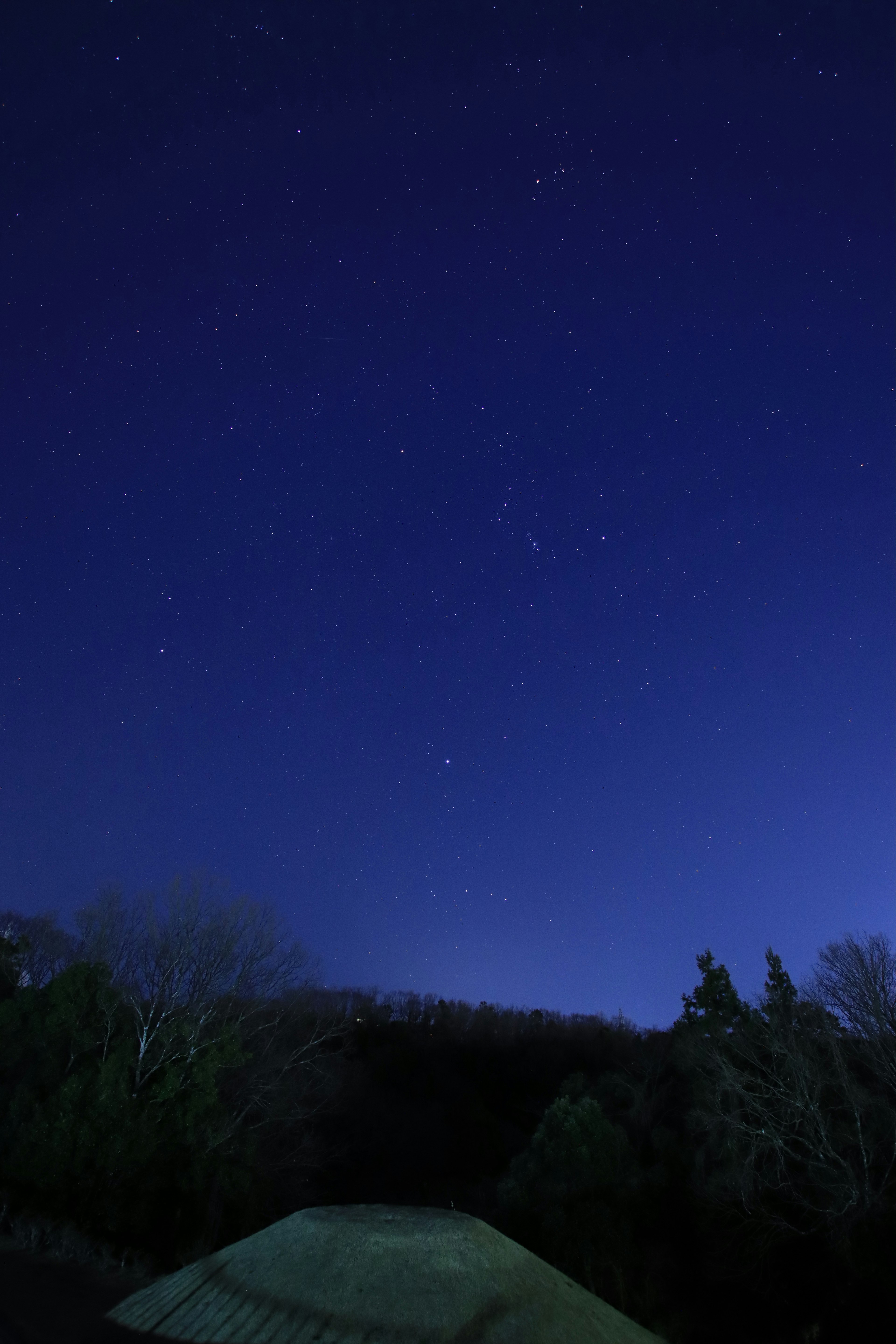 Starry night sky over dark landscape and green trees