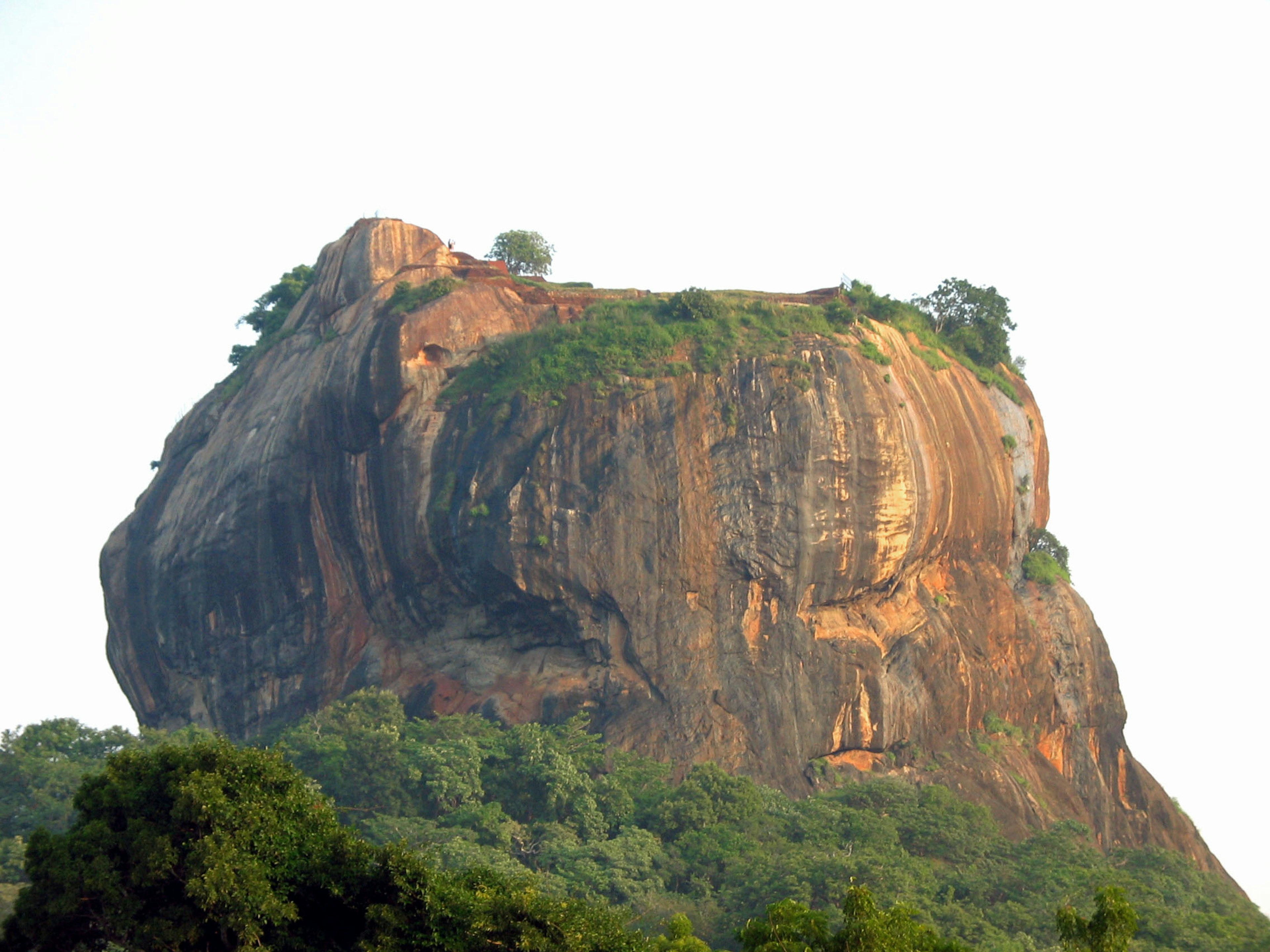 A large rock mountain surrounded by greenery