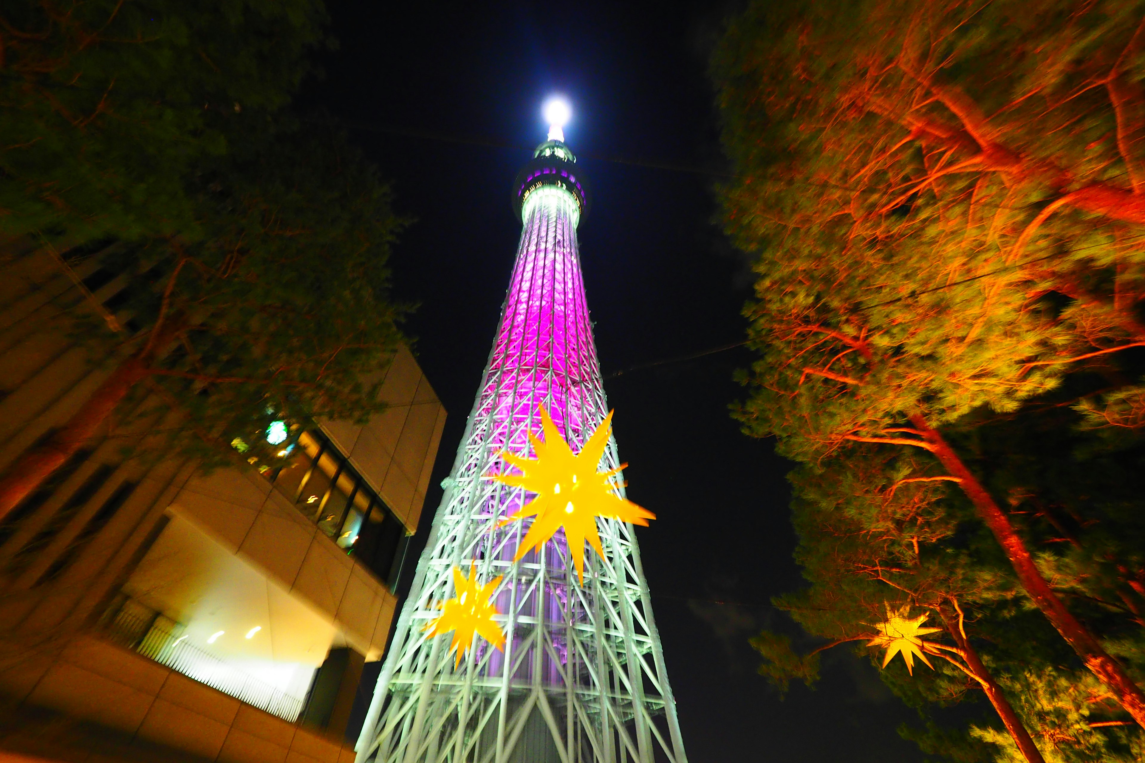 夜に照らされた東京スカイツリーの色とりどりのライト