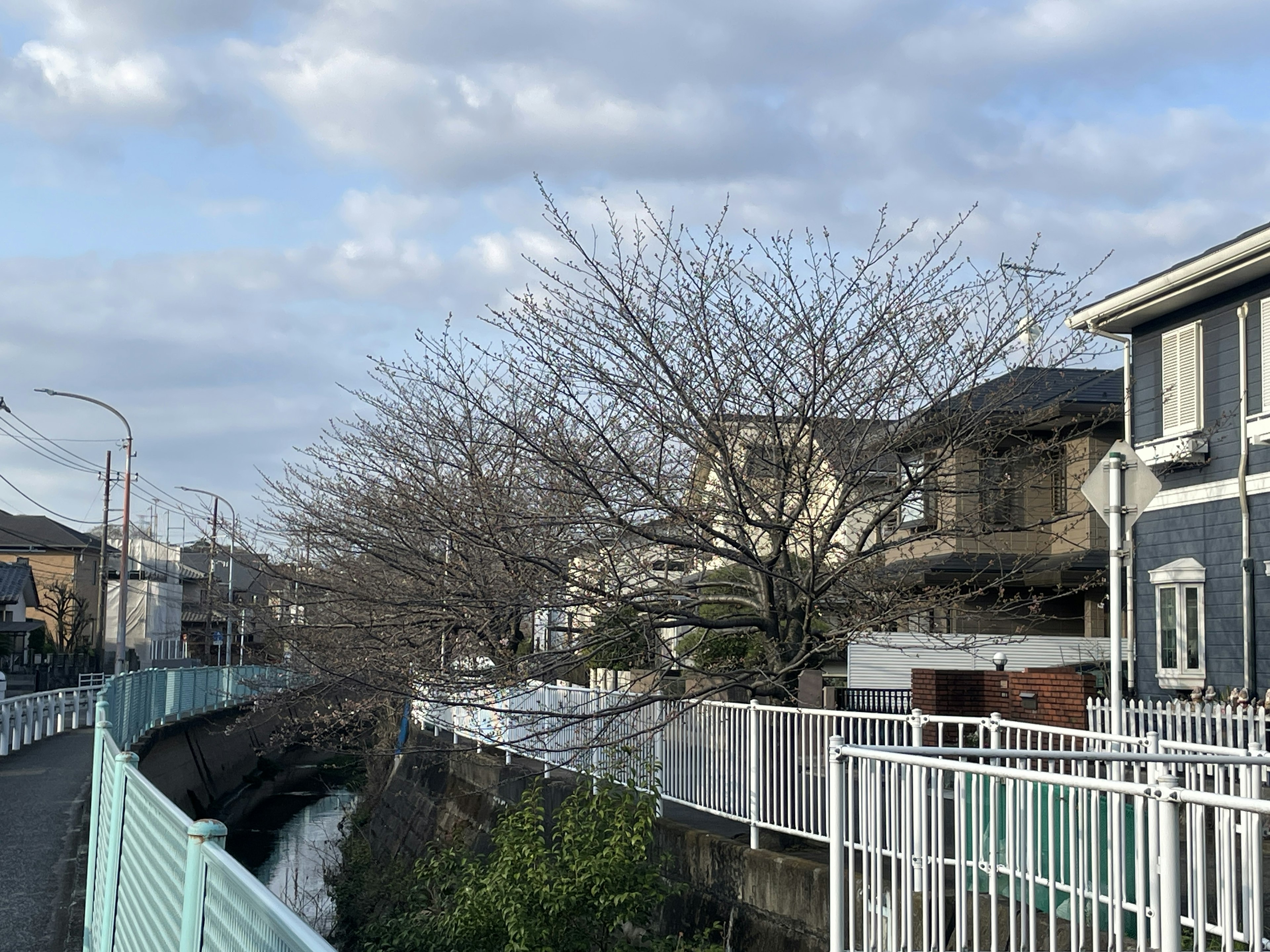 Área residencial tranquila junto al río con árboles desnudos