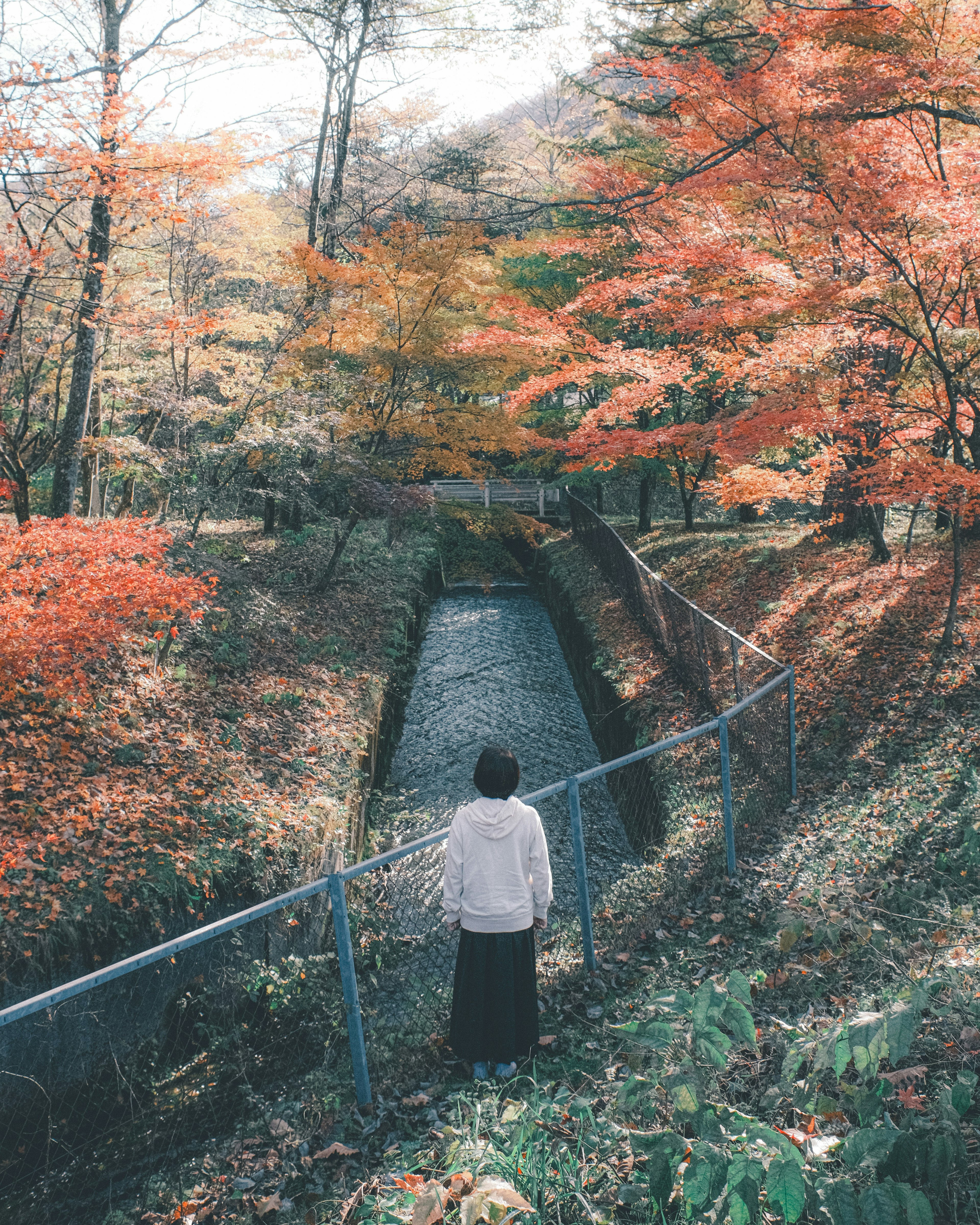 Personne se tenant près d'un ruisseau entouré de feuillage d'automne