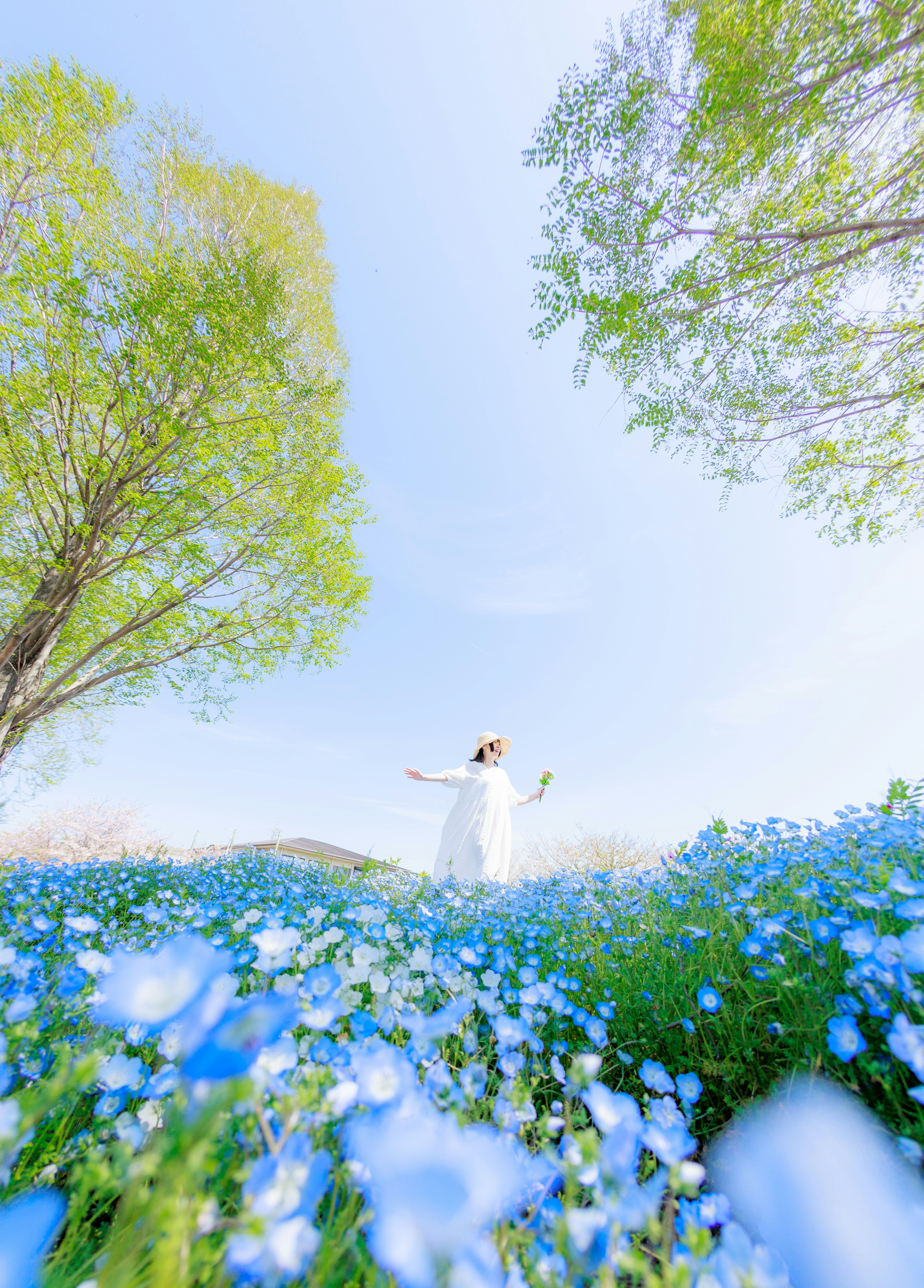 A woman in a white dress surrounded by blue flowers looking up at the sky