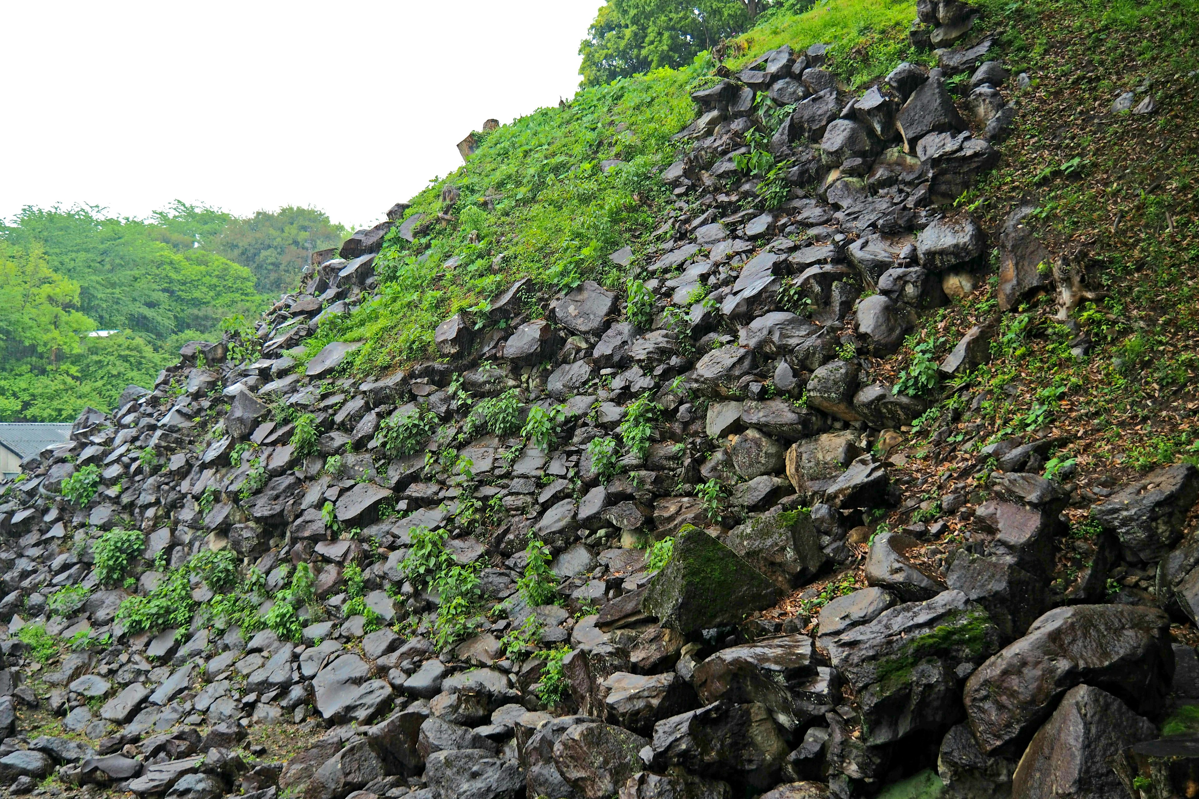 Pendiente rocosa cubierta de hierba verde y naturaleza circundante