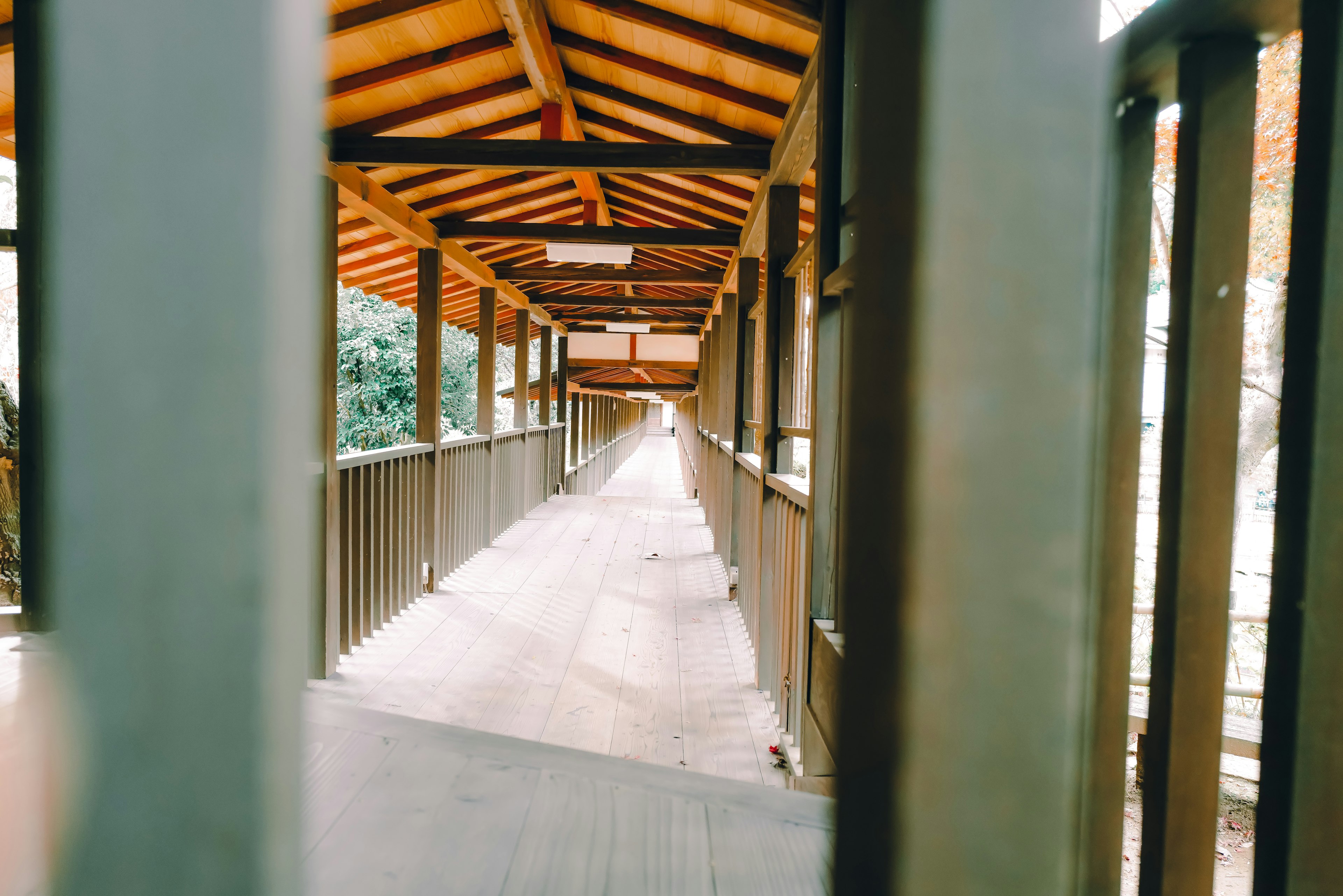 View of a long walkway with wooden roof from inside a structure