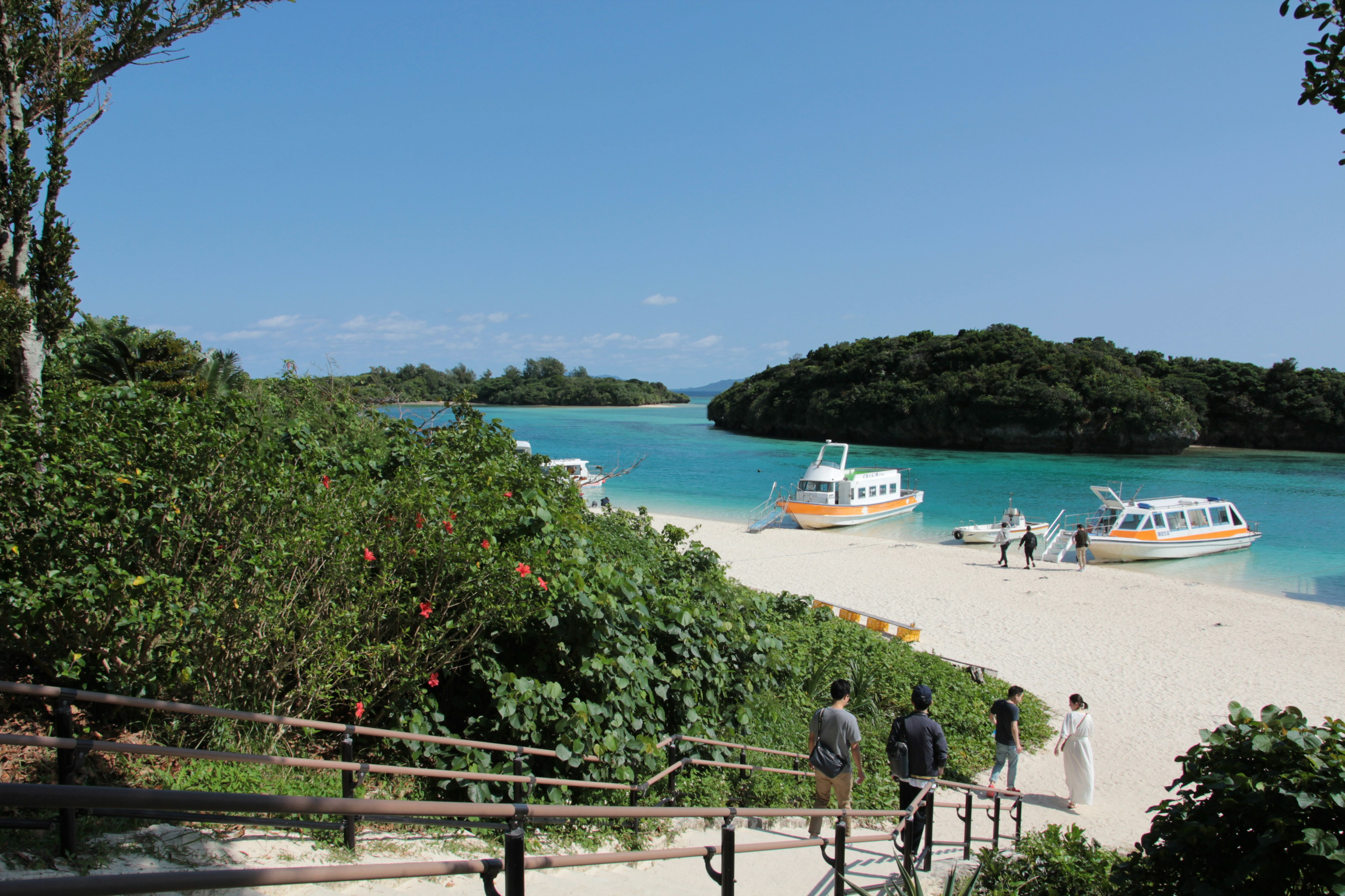 青い海と白い砂浜に面したボートと緑の植物が広がる風景