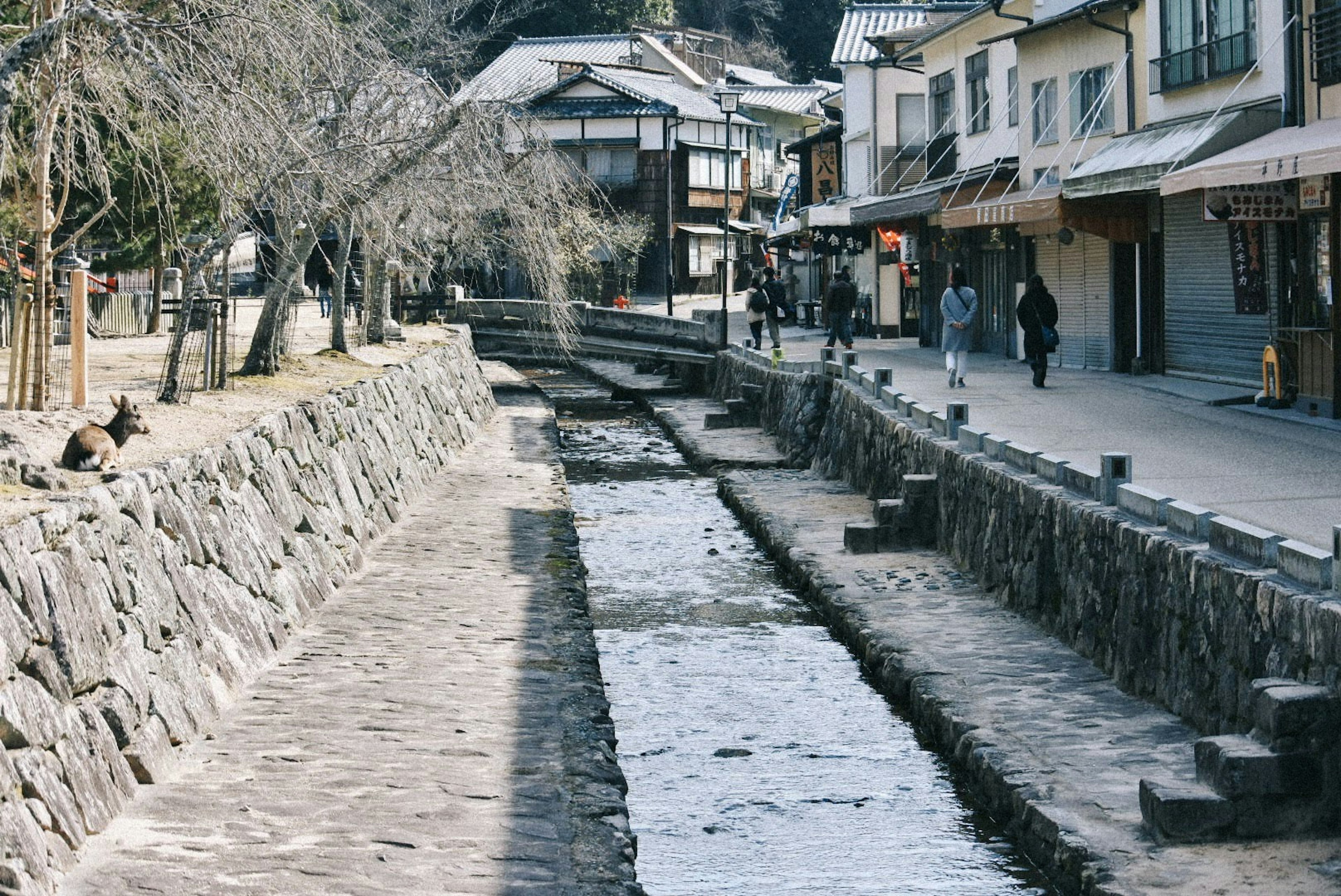 Vista tranquilla lungo il fiume con edifici tradizionali e sentiero in pietra