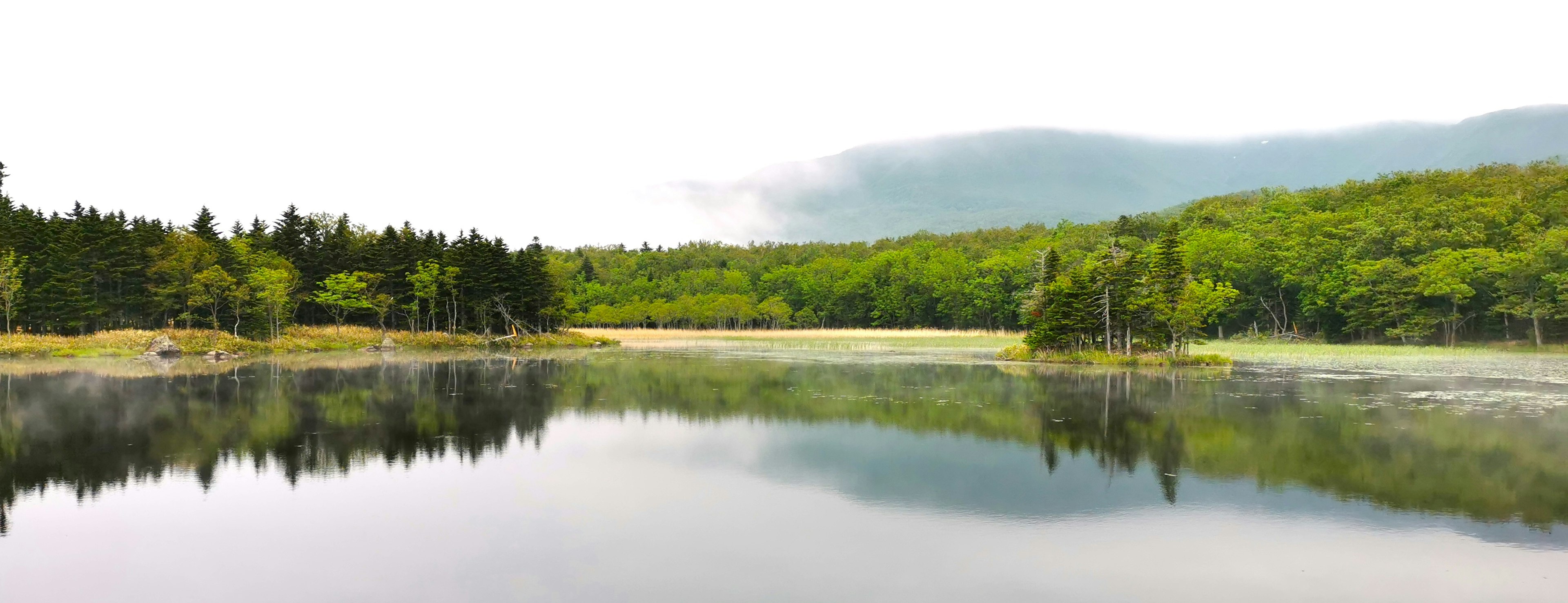 Lac serein entouré de verdure luxuriante et de montagnes lointaines