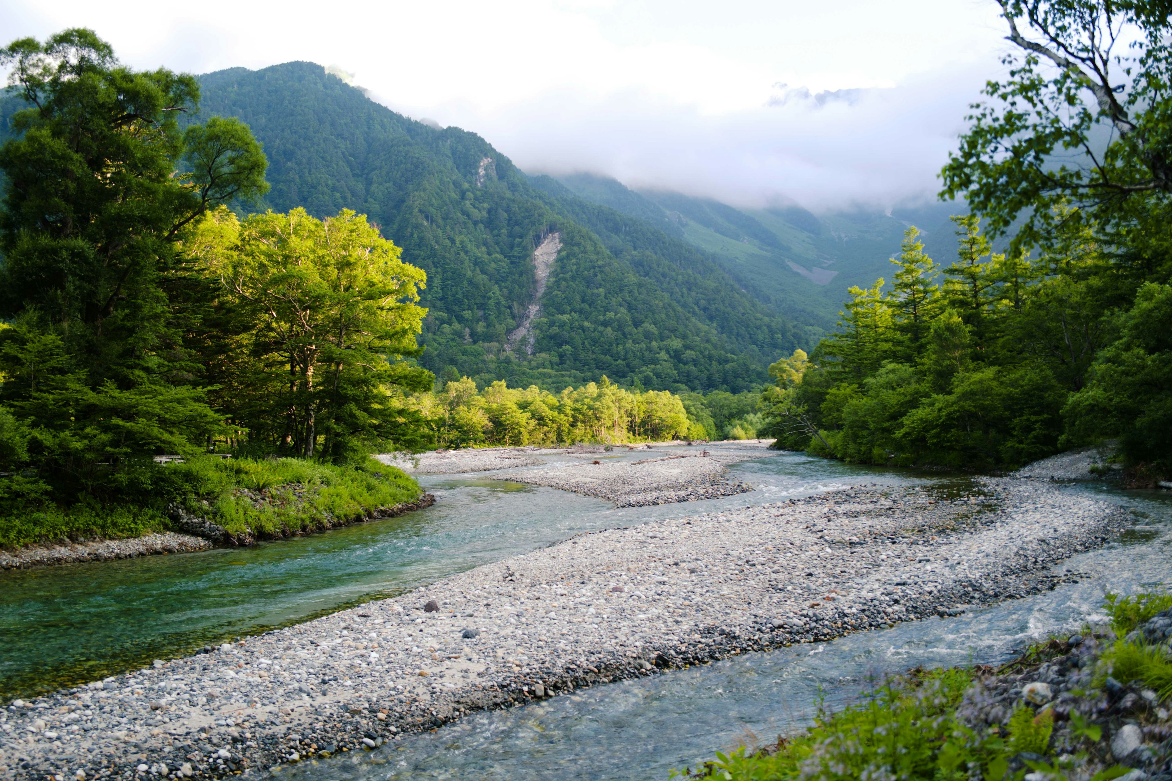 Vista panoramica di un fiume che si snoda tra montagne verdi