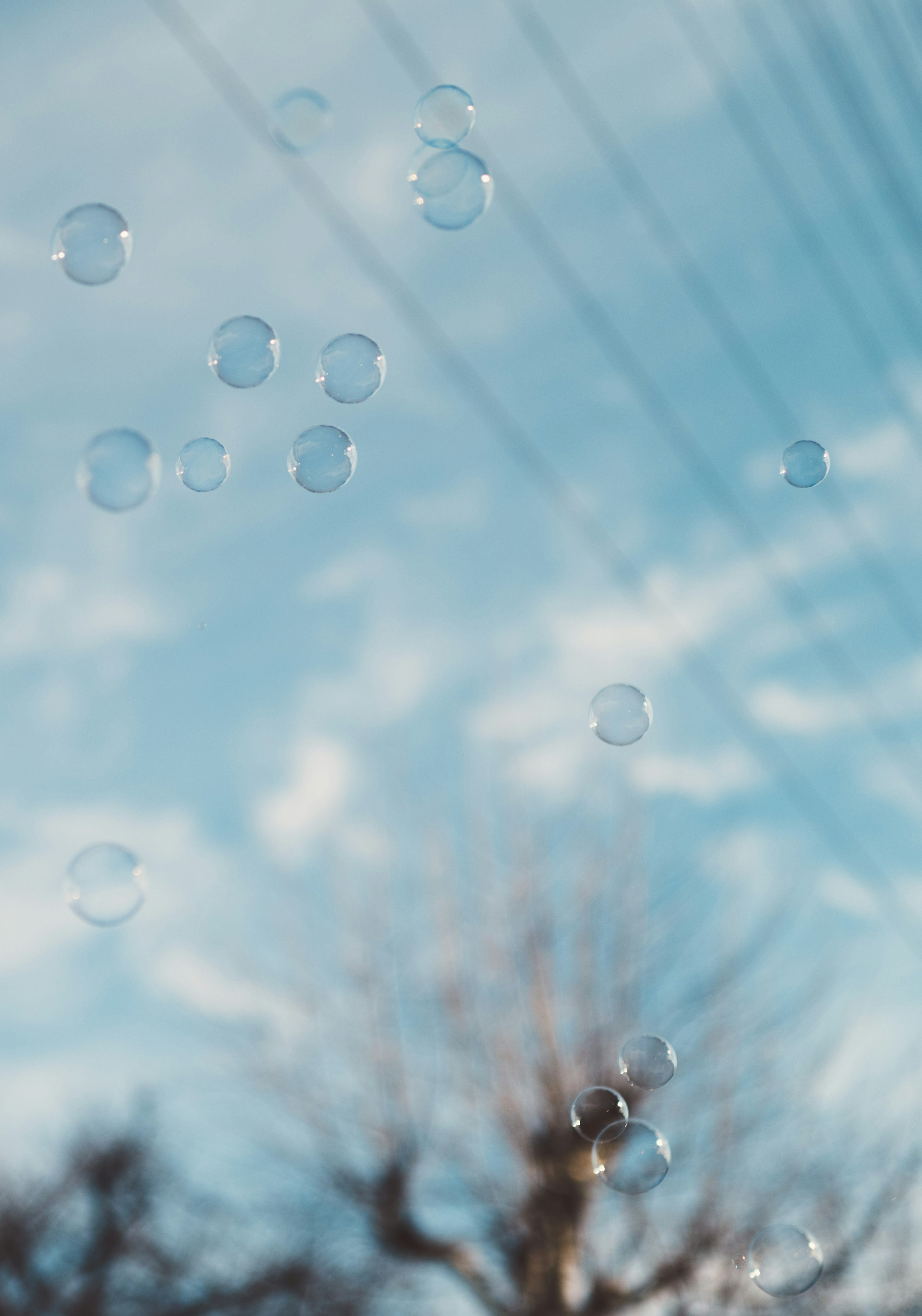 Burbujas flotando contra un cielo azul con siluetas de árboles y líneas eléctricas