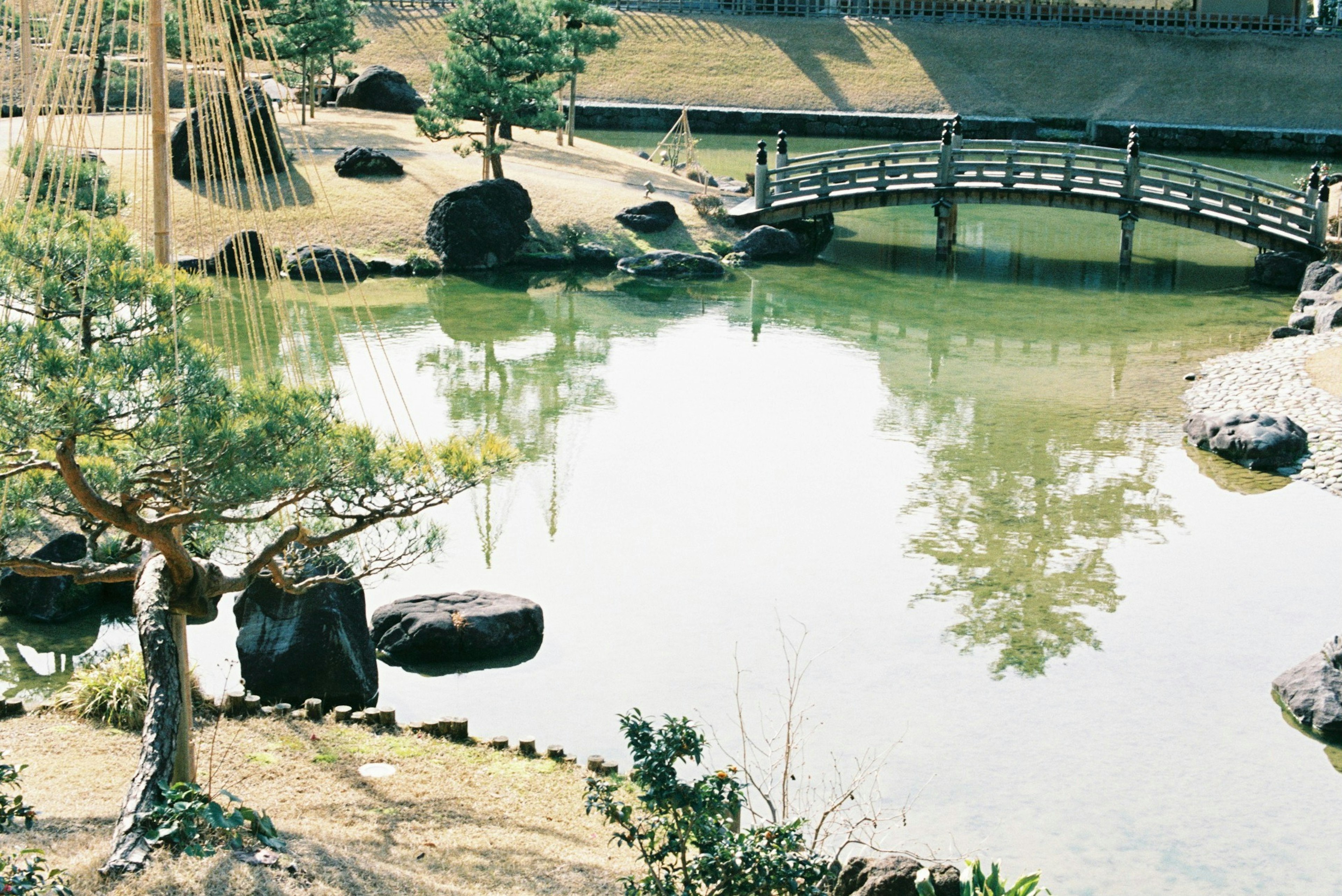 静かな池と橋を持つ日本庭園の風景