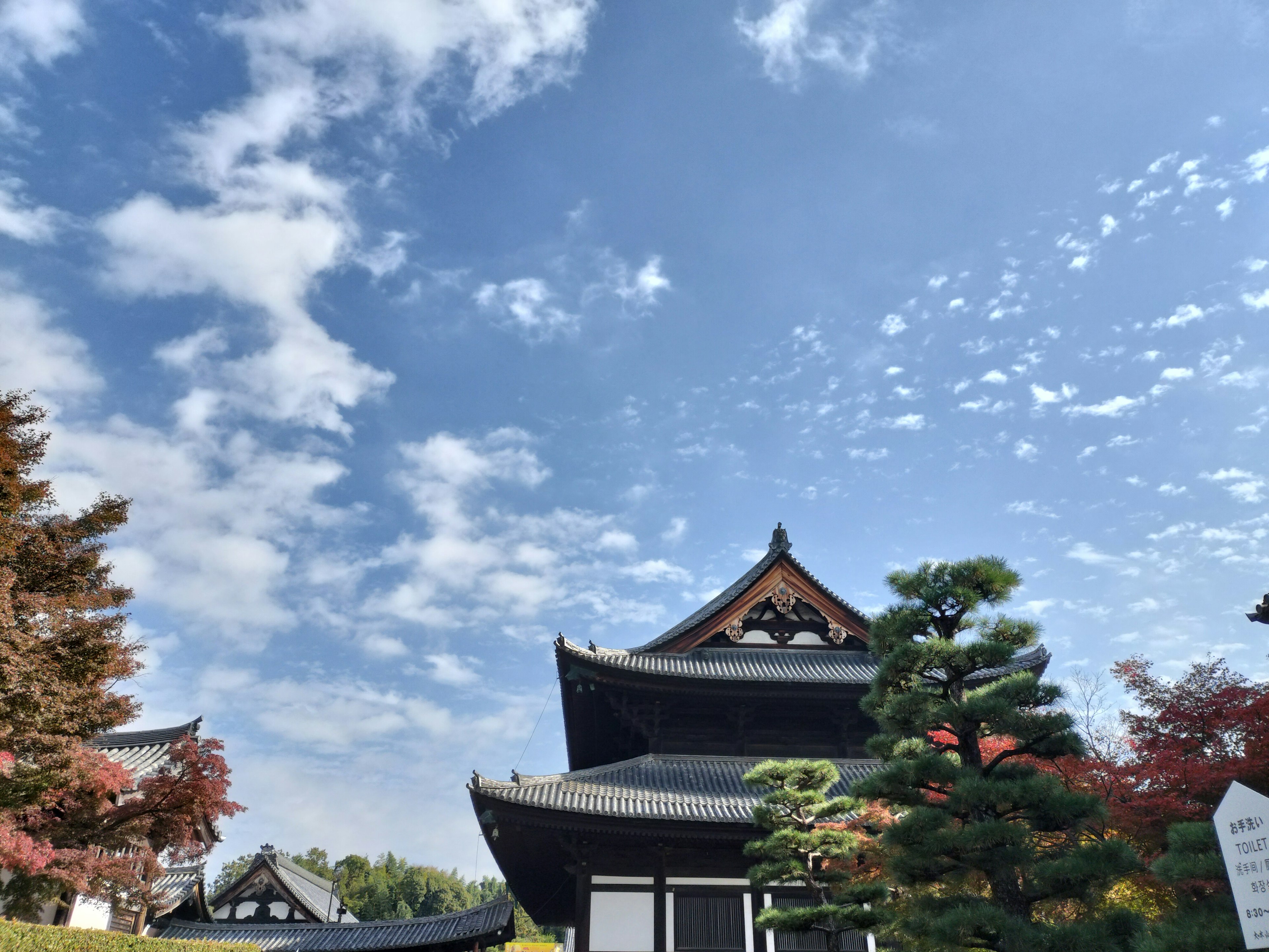 Traditionelles japanisches Gebäude unter blauem Himmel mit Herbstlaub