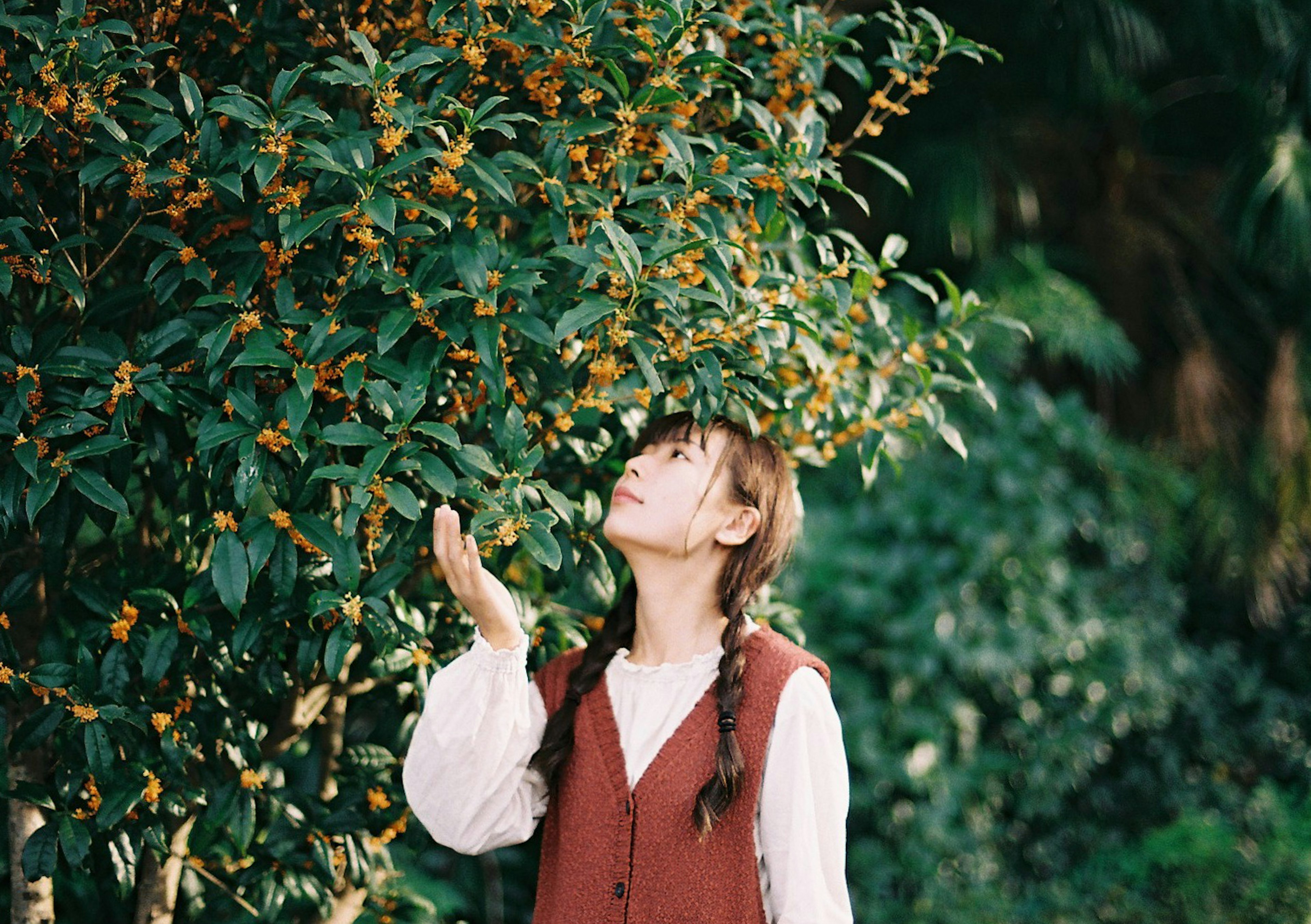 A girl looking up at a fragrant tree with flowers