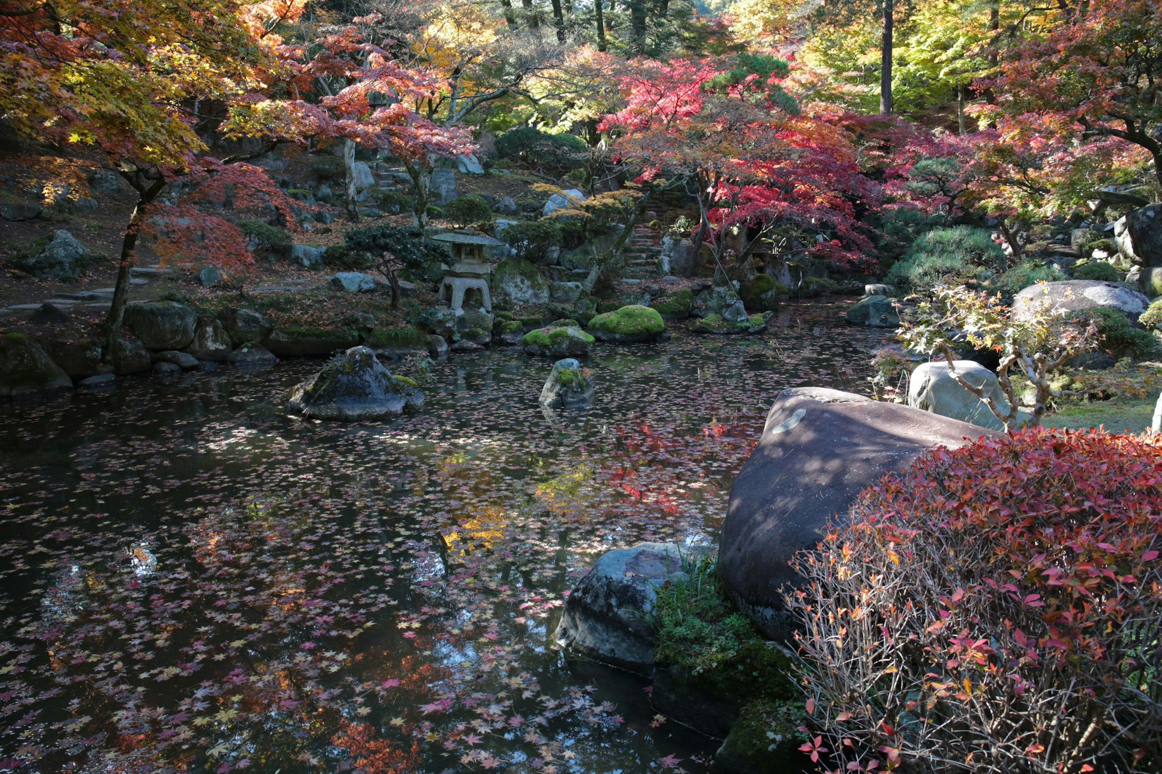 Hermoso jardín de otoño con árboles coloridos y hojas caídas