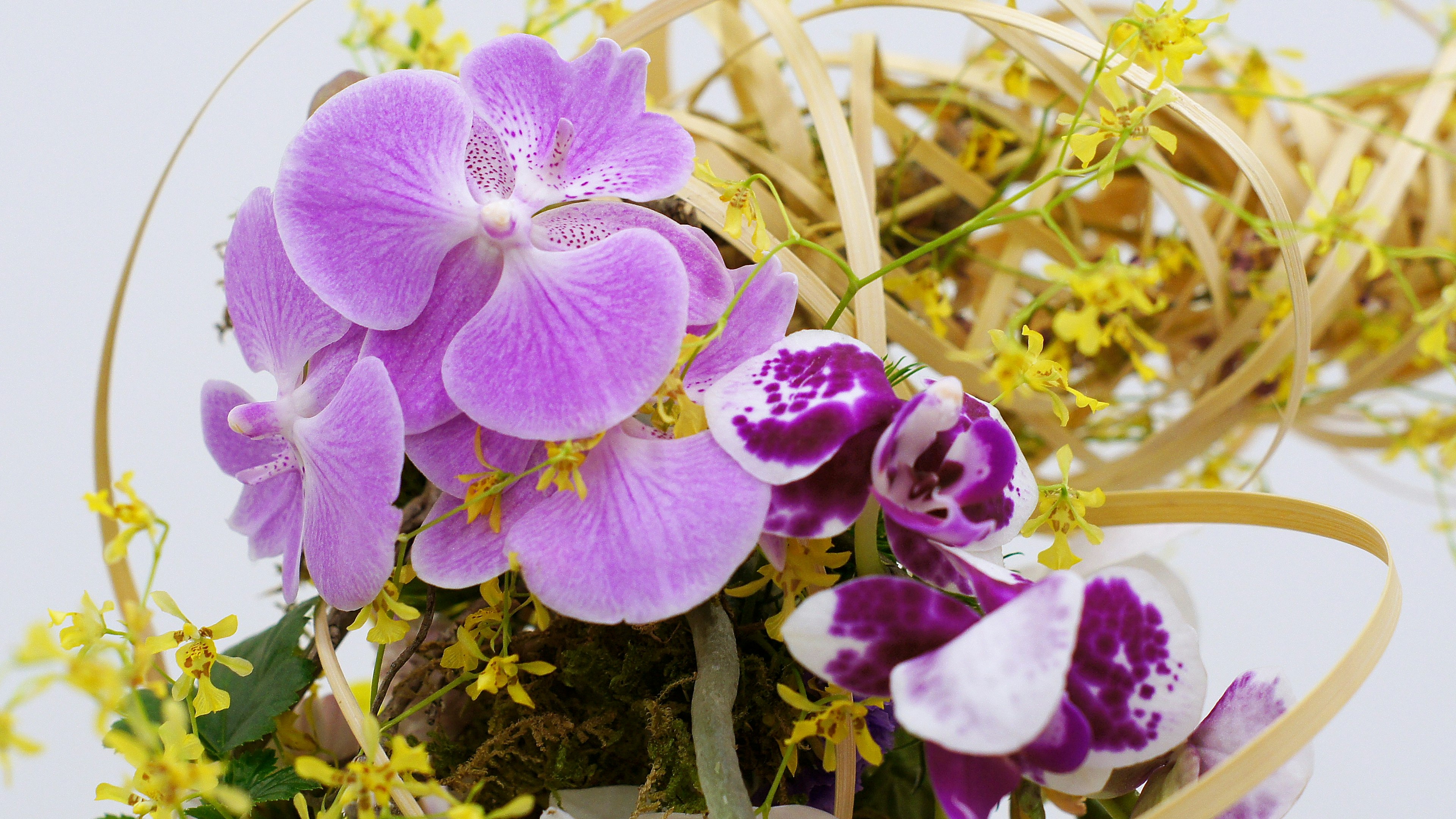 Schöne Anordnung von lila Blumen und kleinen gelben Blüten