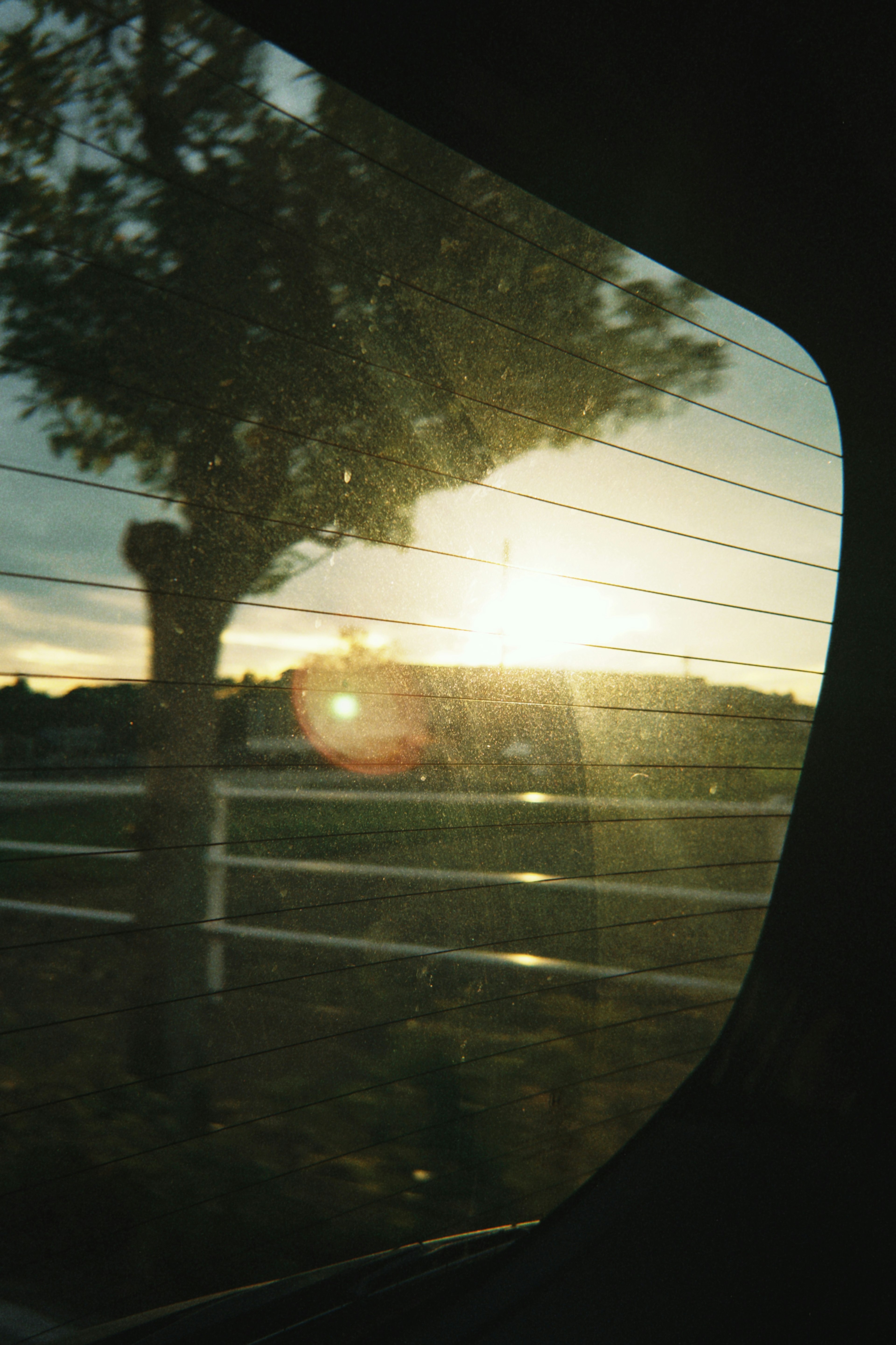 Sunset view through a car window with tree silhouette