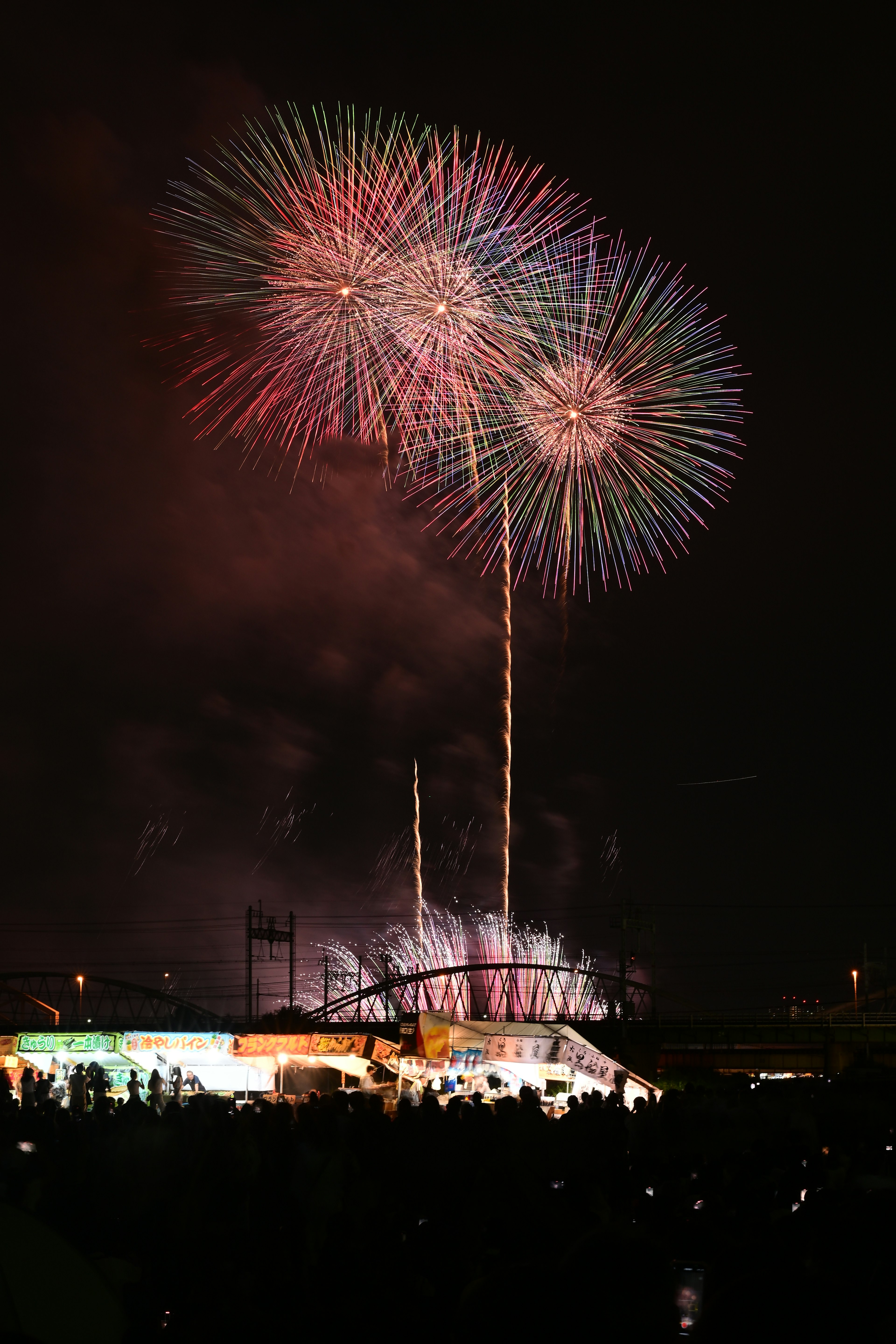 A display of large fireworks lighting up the night sky with vibrant colors