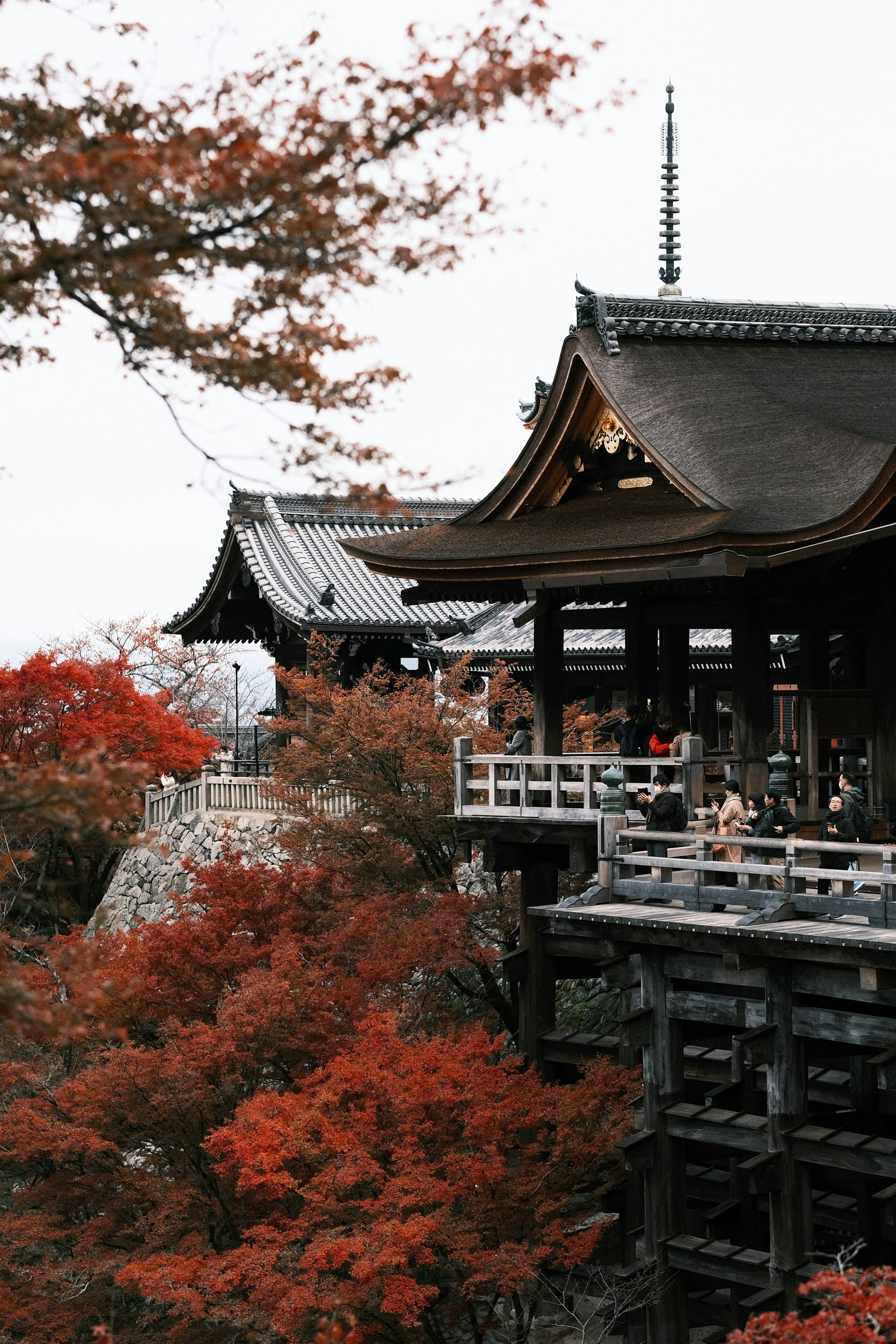 Kiyomizu-dera circondato da foglie autunnali vibranti