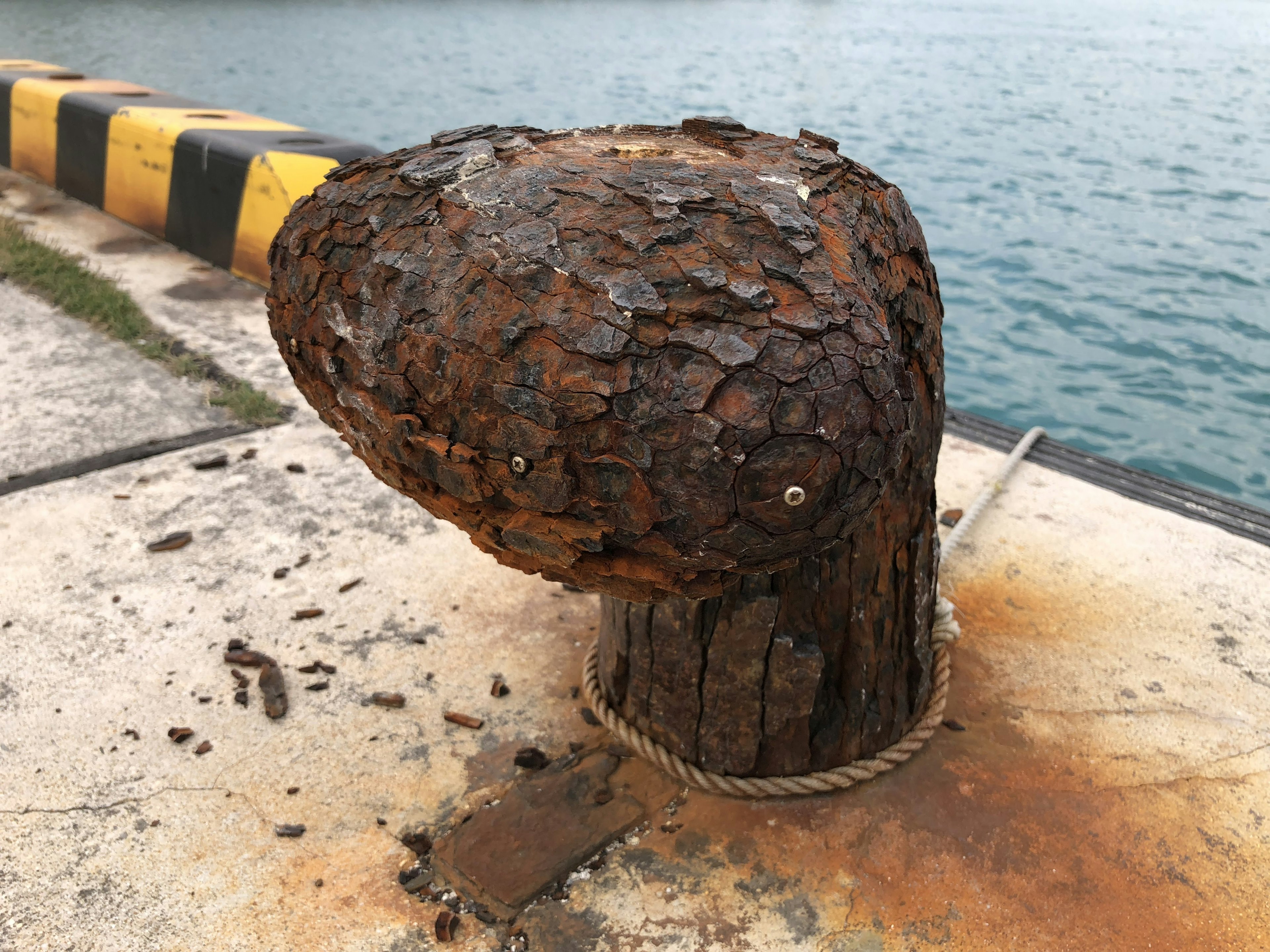 Rusty wooden mooring post by the water