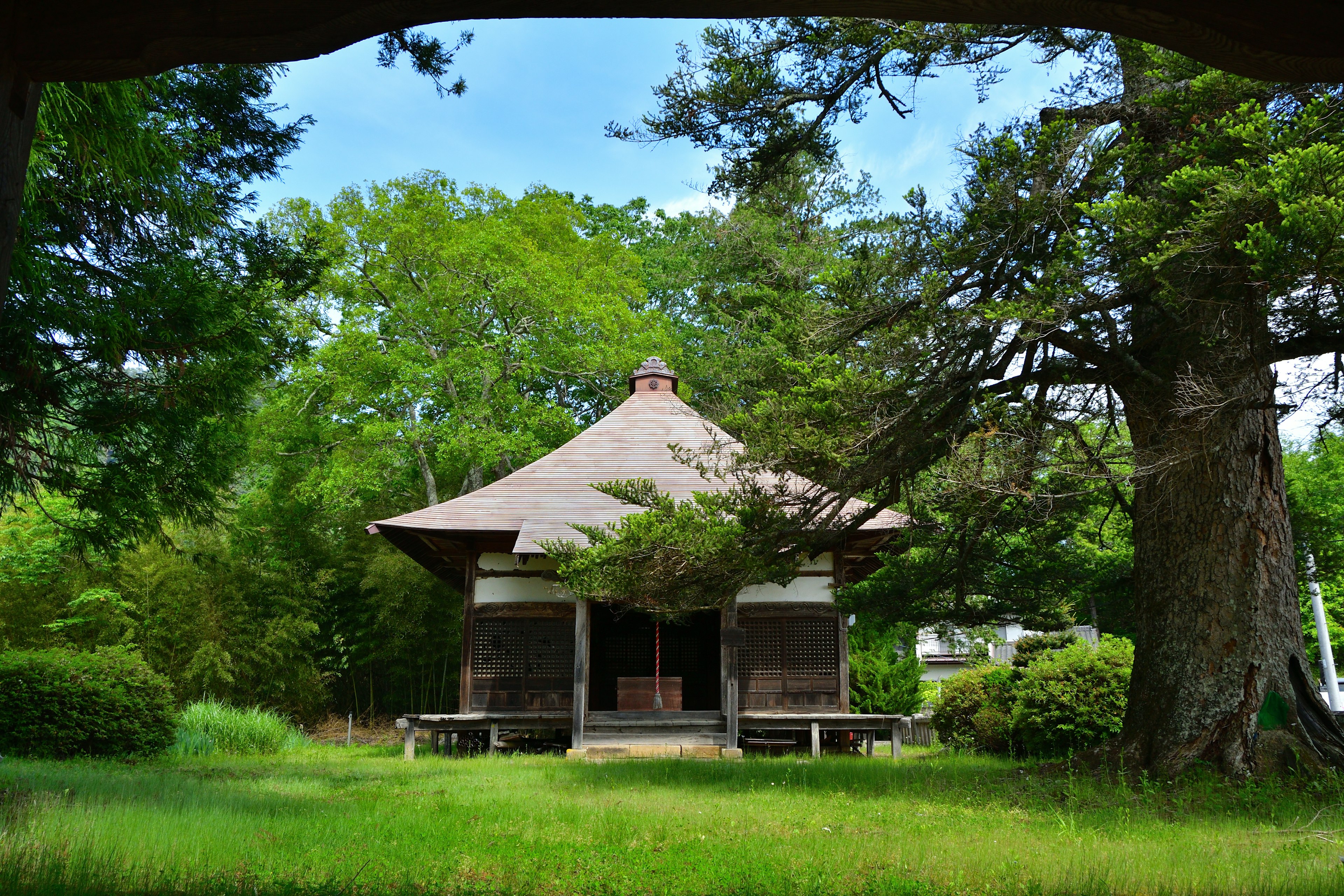 緑の自然に囲まれた伝統的な日本の建物