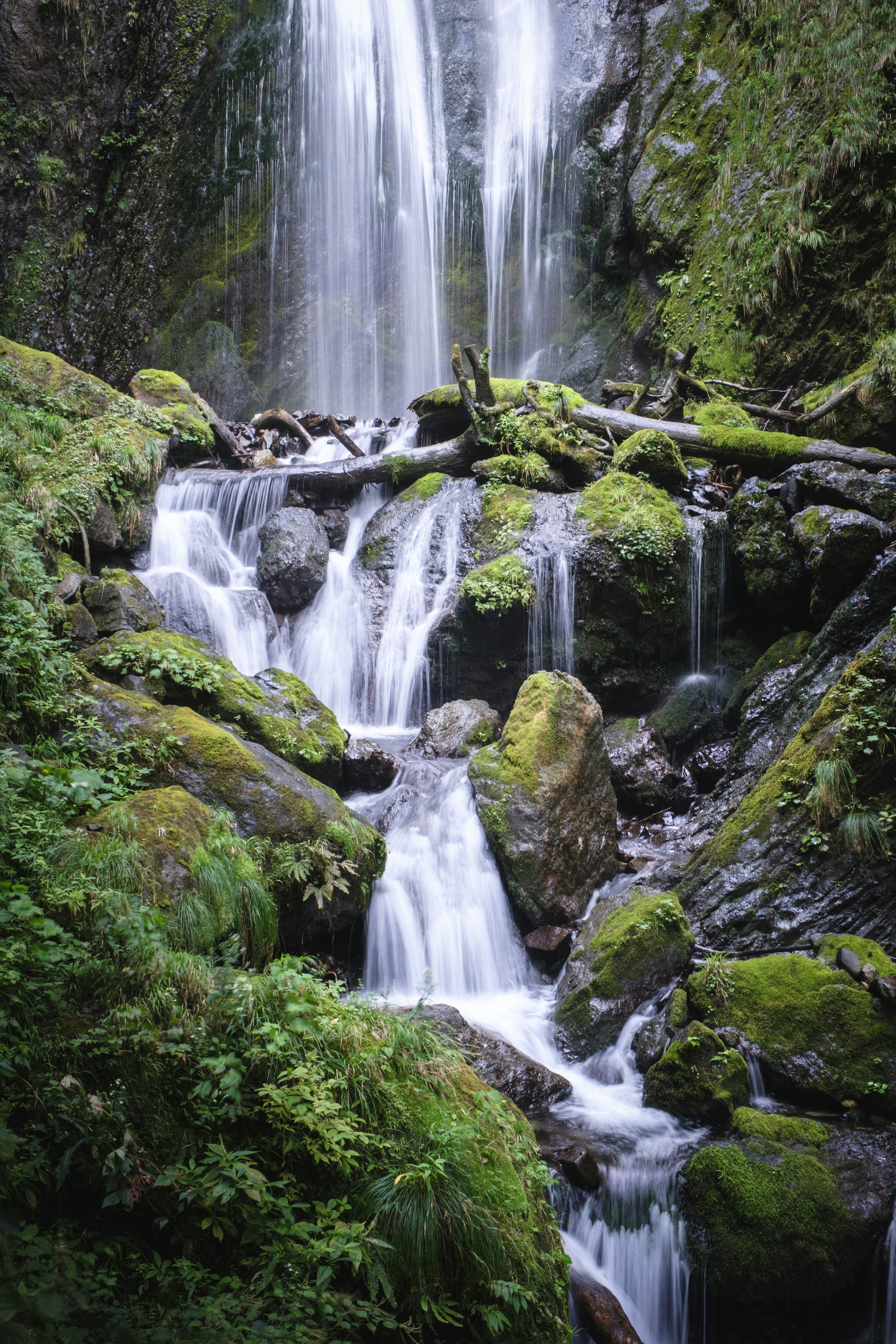 美しい滝と緑の苔に覆われた岩の風景