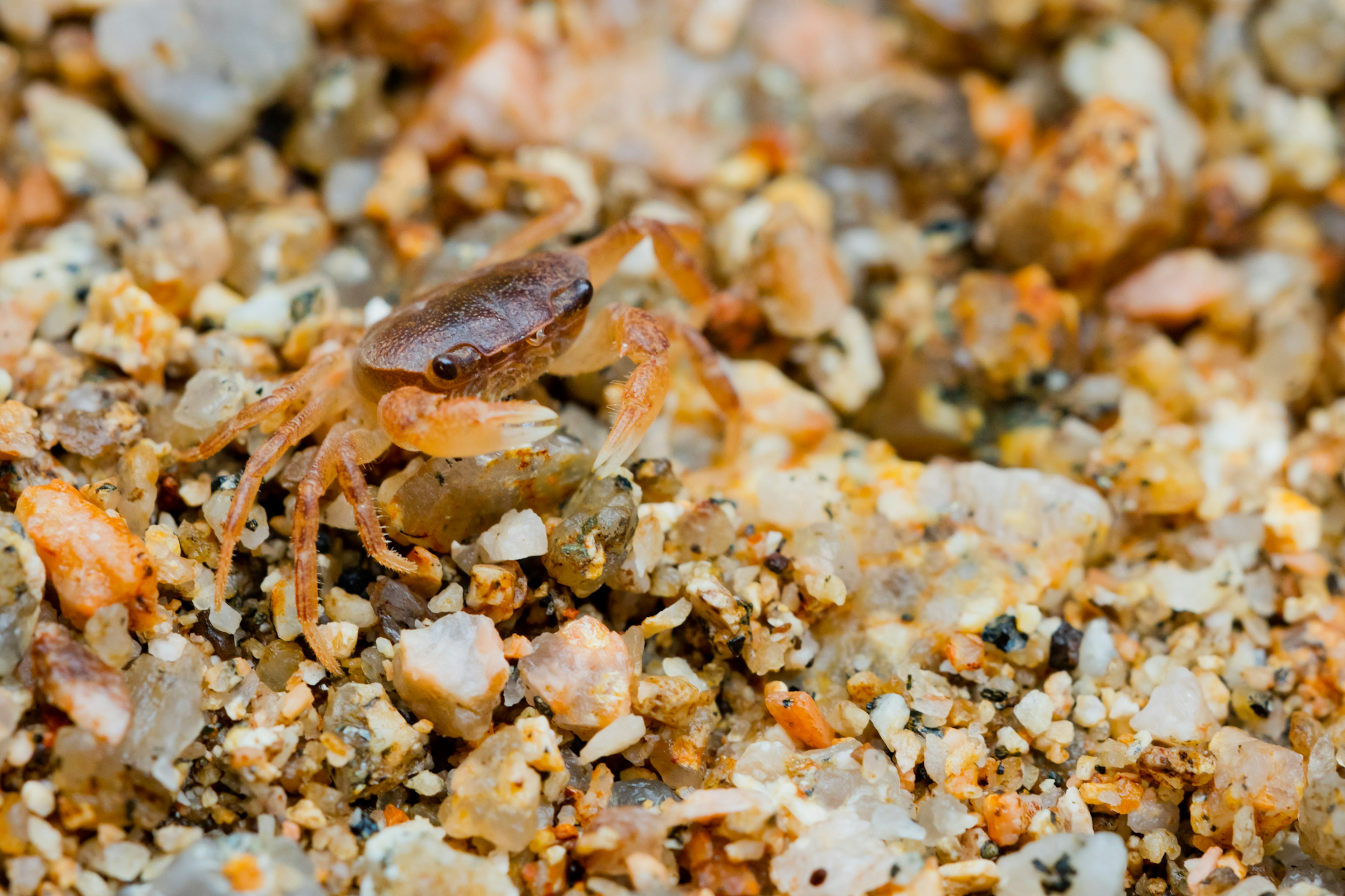 Nahaufnahme eines Gemischs aus feinem Sand und kleinen Steinen