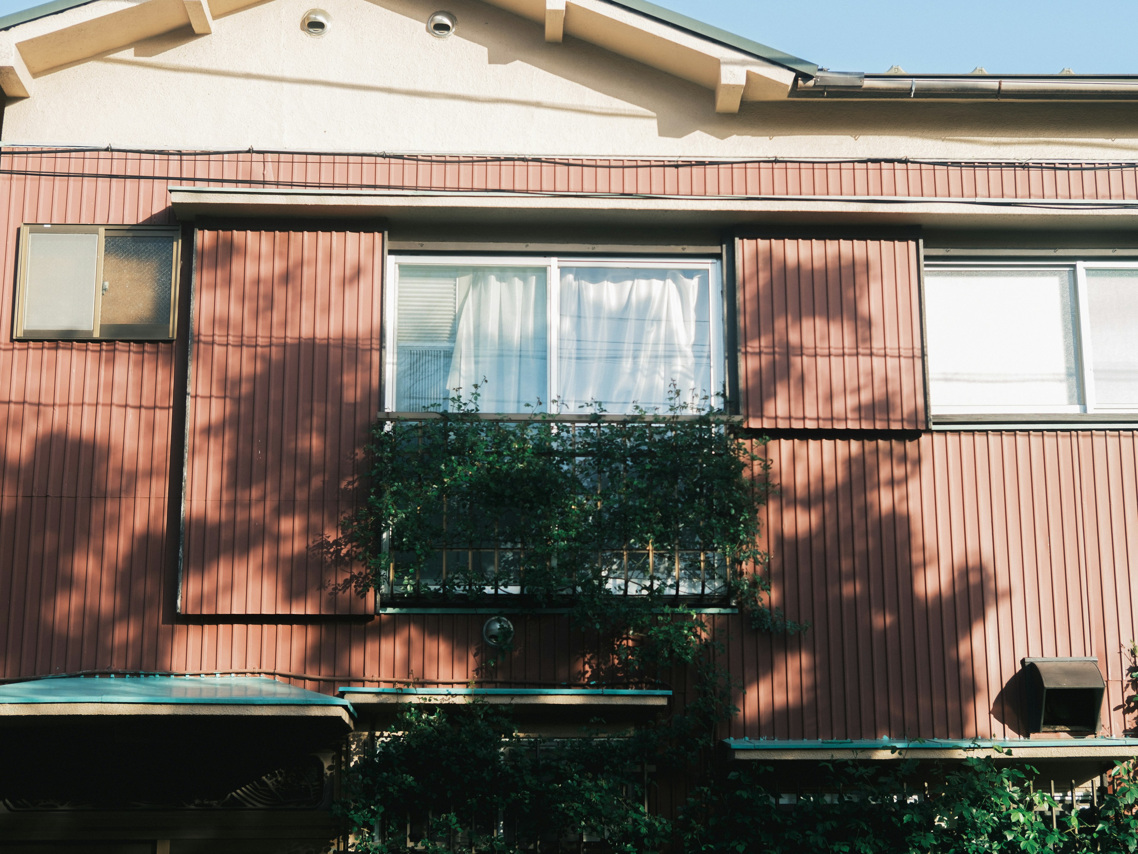 House with red exterior featuring windows with curtains and greenery