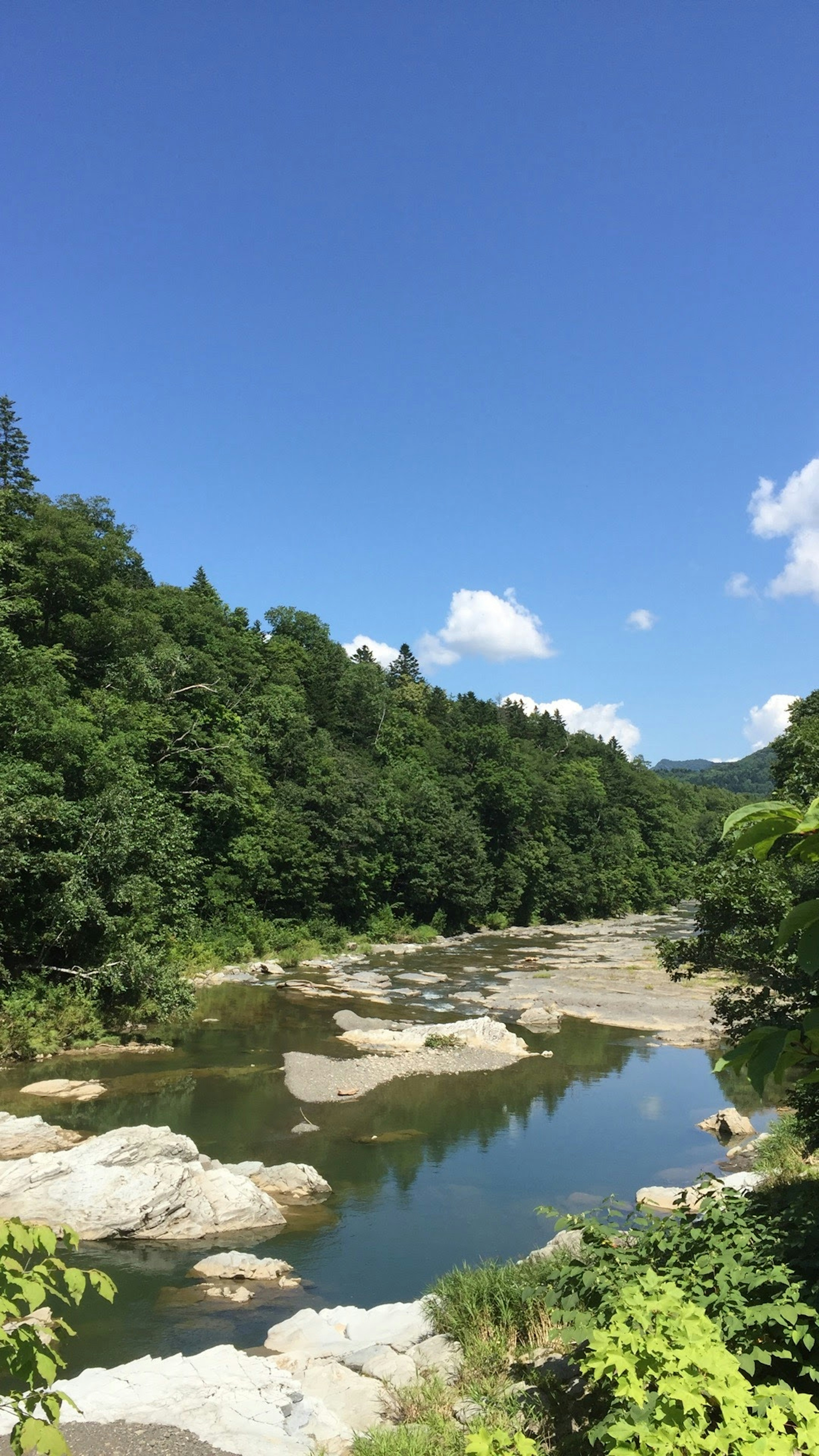 Scenic river view surrounded by lush green trees and blue sky