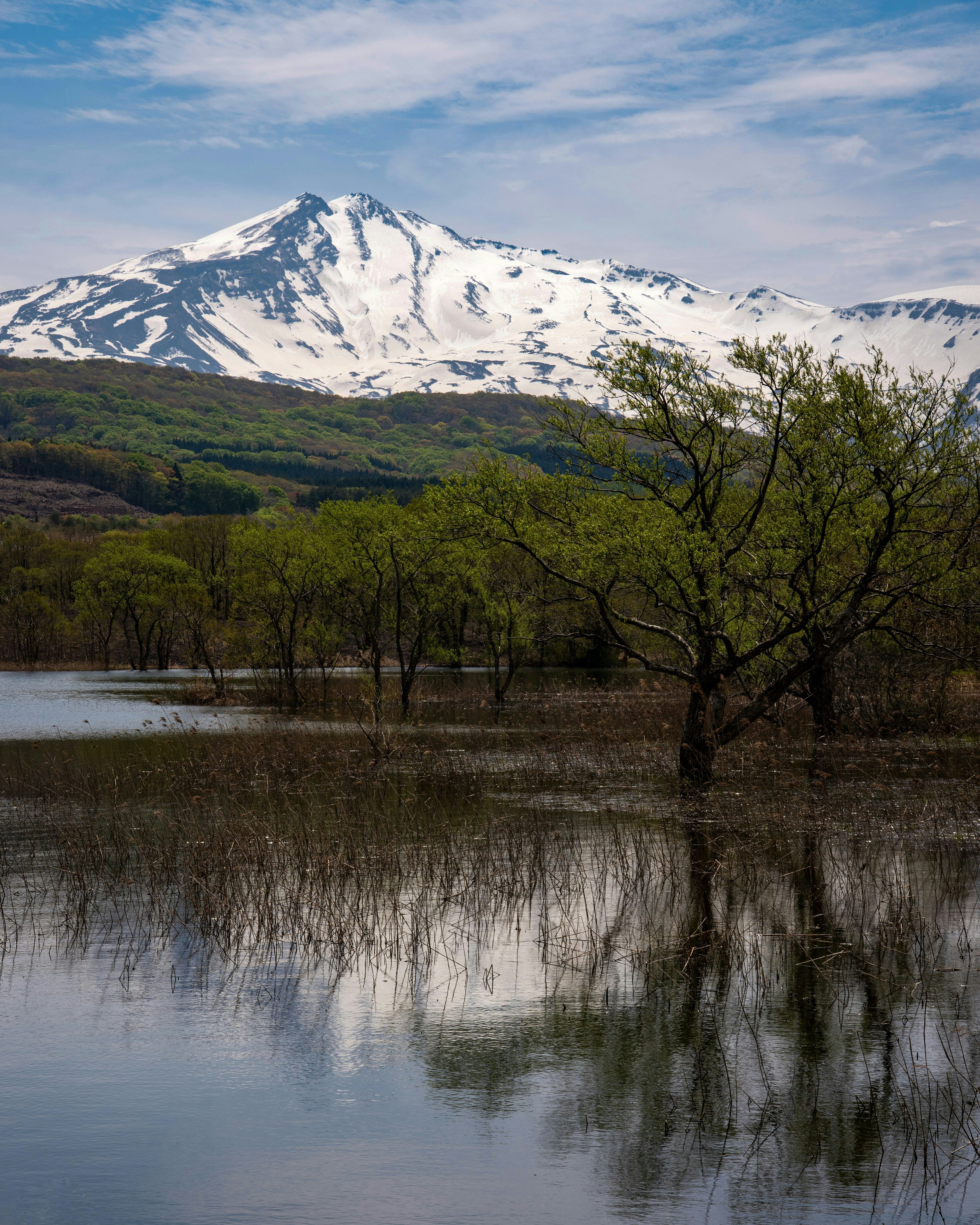 Snow-capped mountain reflecting in a calm lake surrounded by green trees