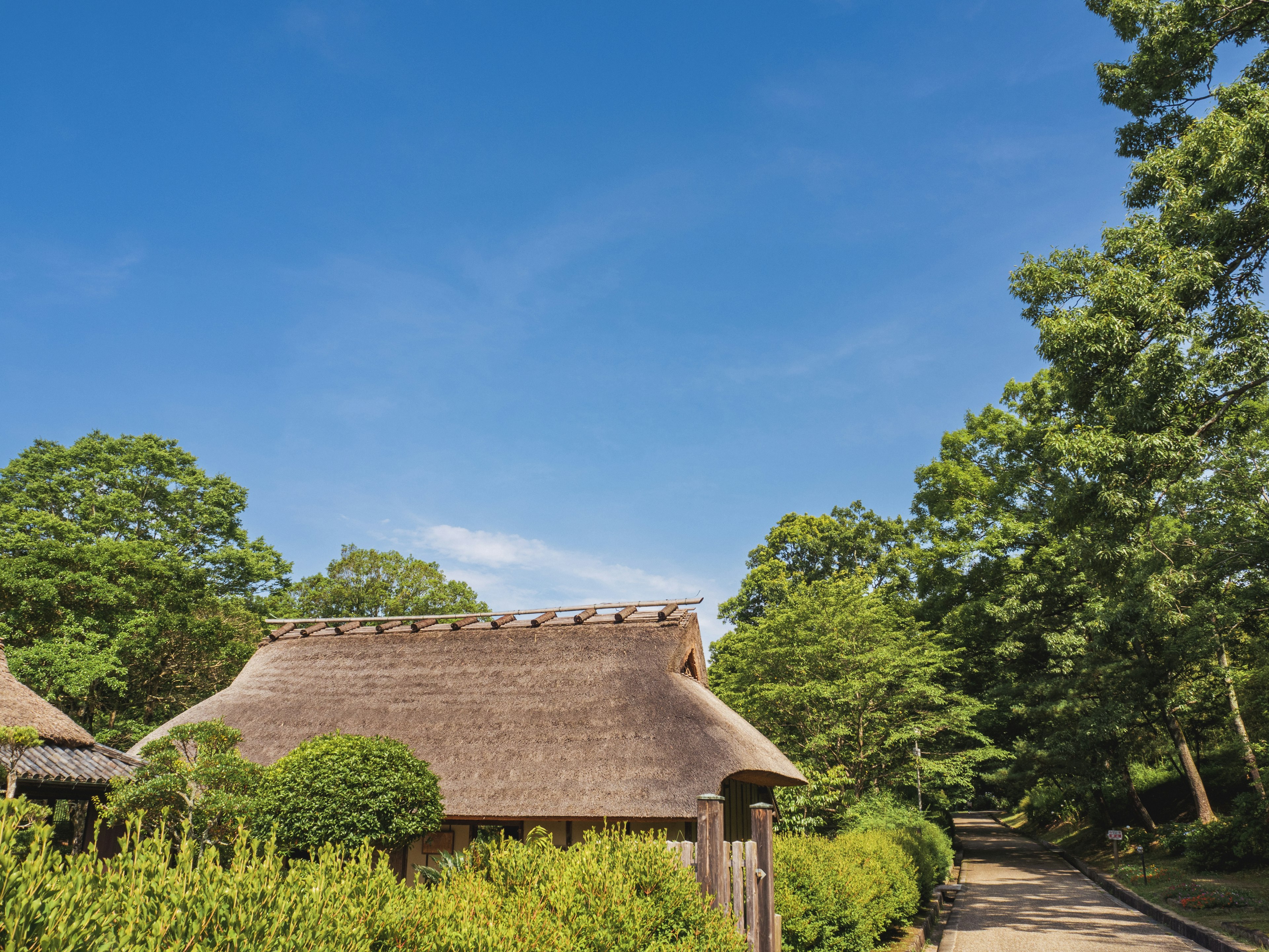 Thatched-roof house surrounded by lush greenery under a clear blue sky