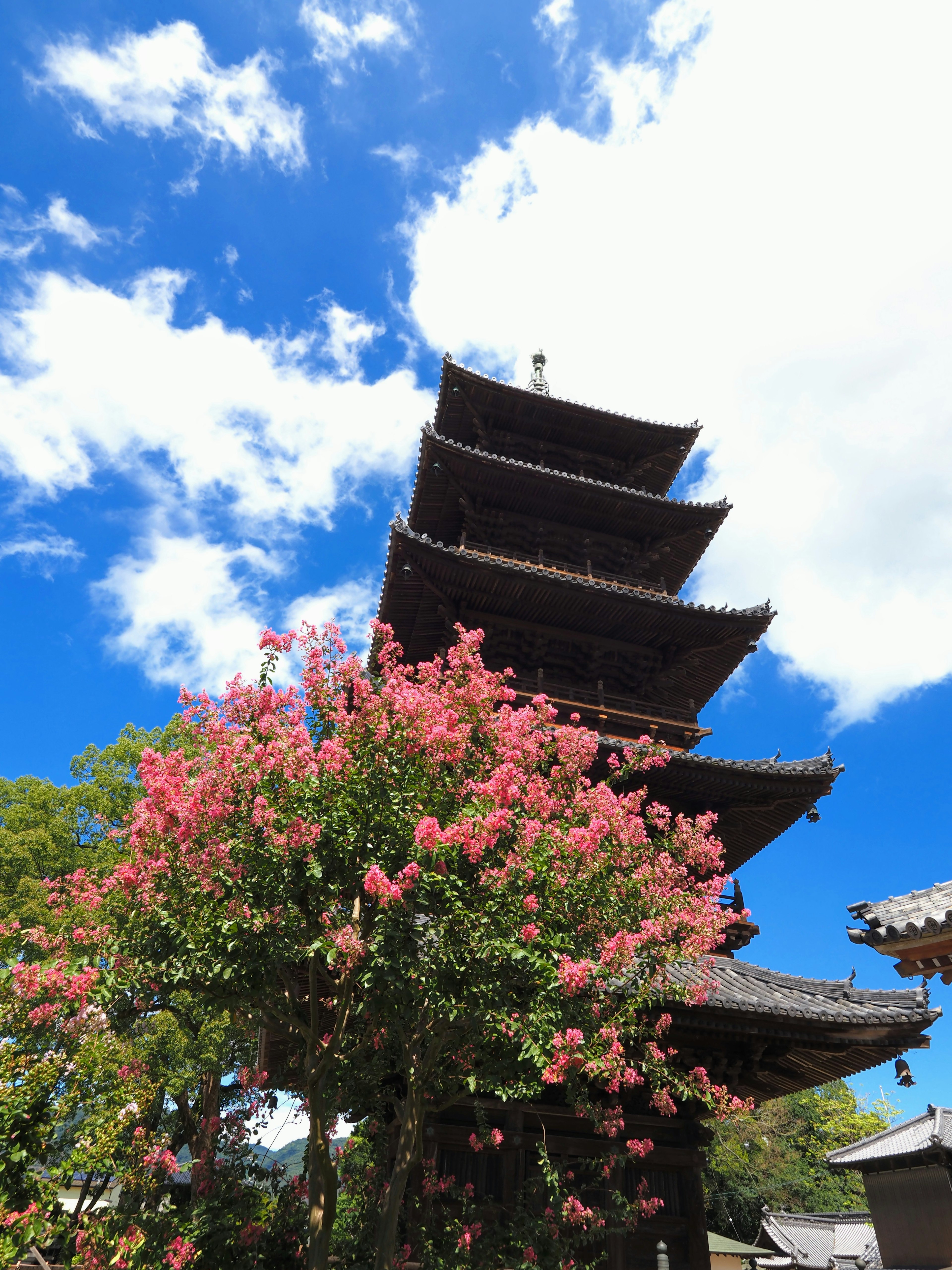 Pagoda a cinque piani che si erge sotto un cielo blu con fiori rosa in fiore