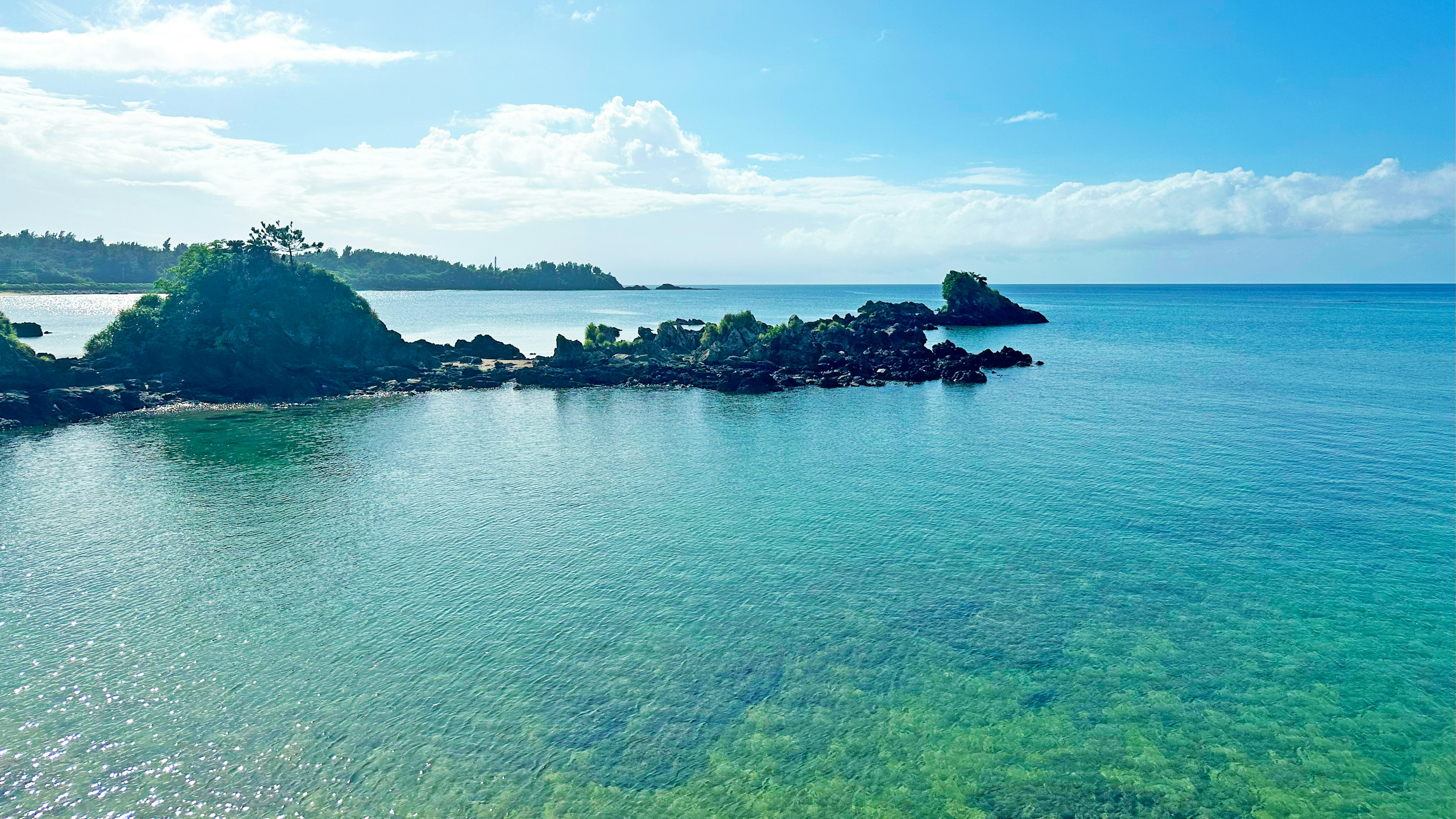 青い海と空の広がる景色 石と緑の海草が見える