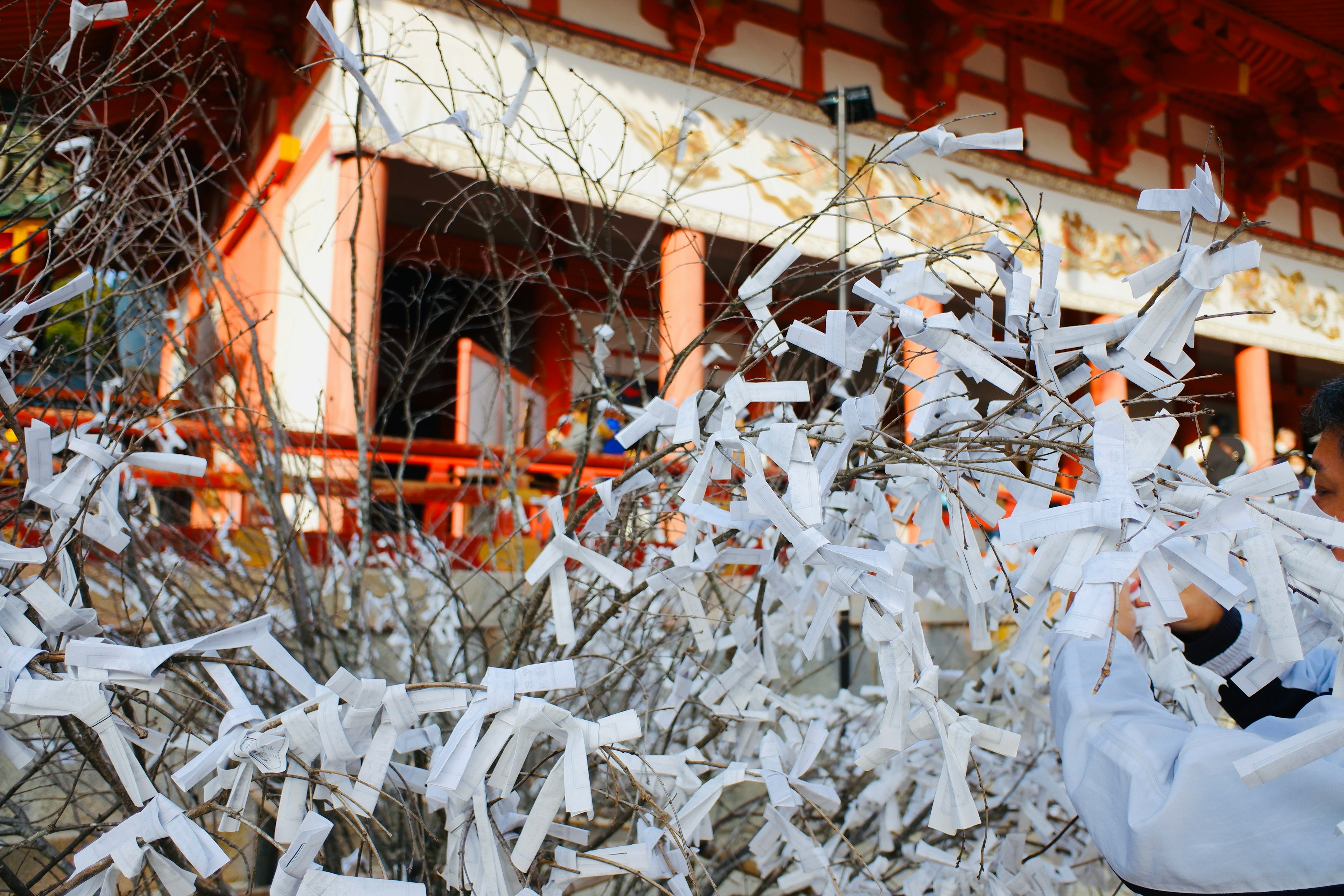 A shrine with a pile of omikuji and white papers hanging on branches