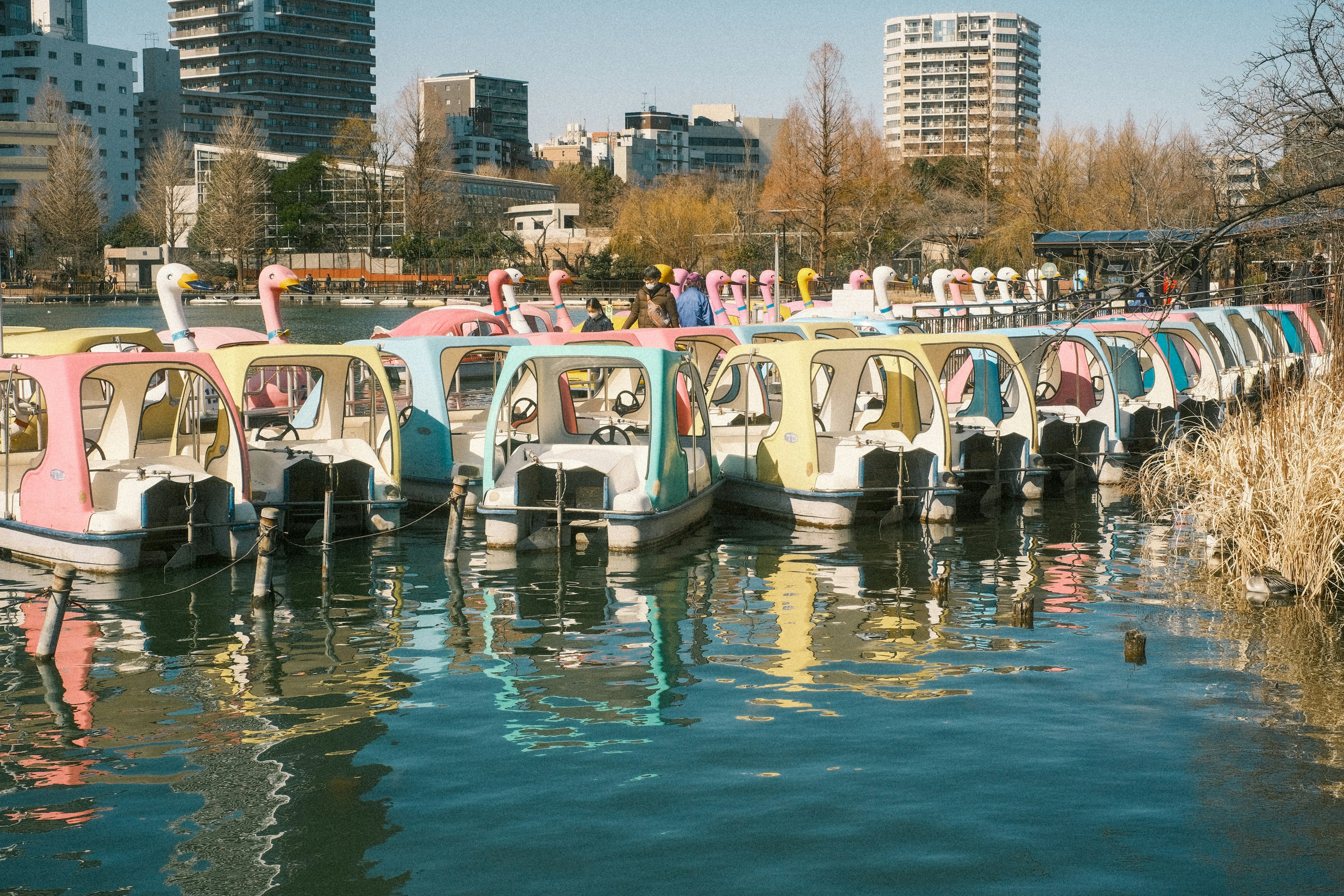 カラフルなサイクリングボートが水面に並ぶ風景