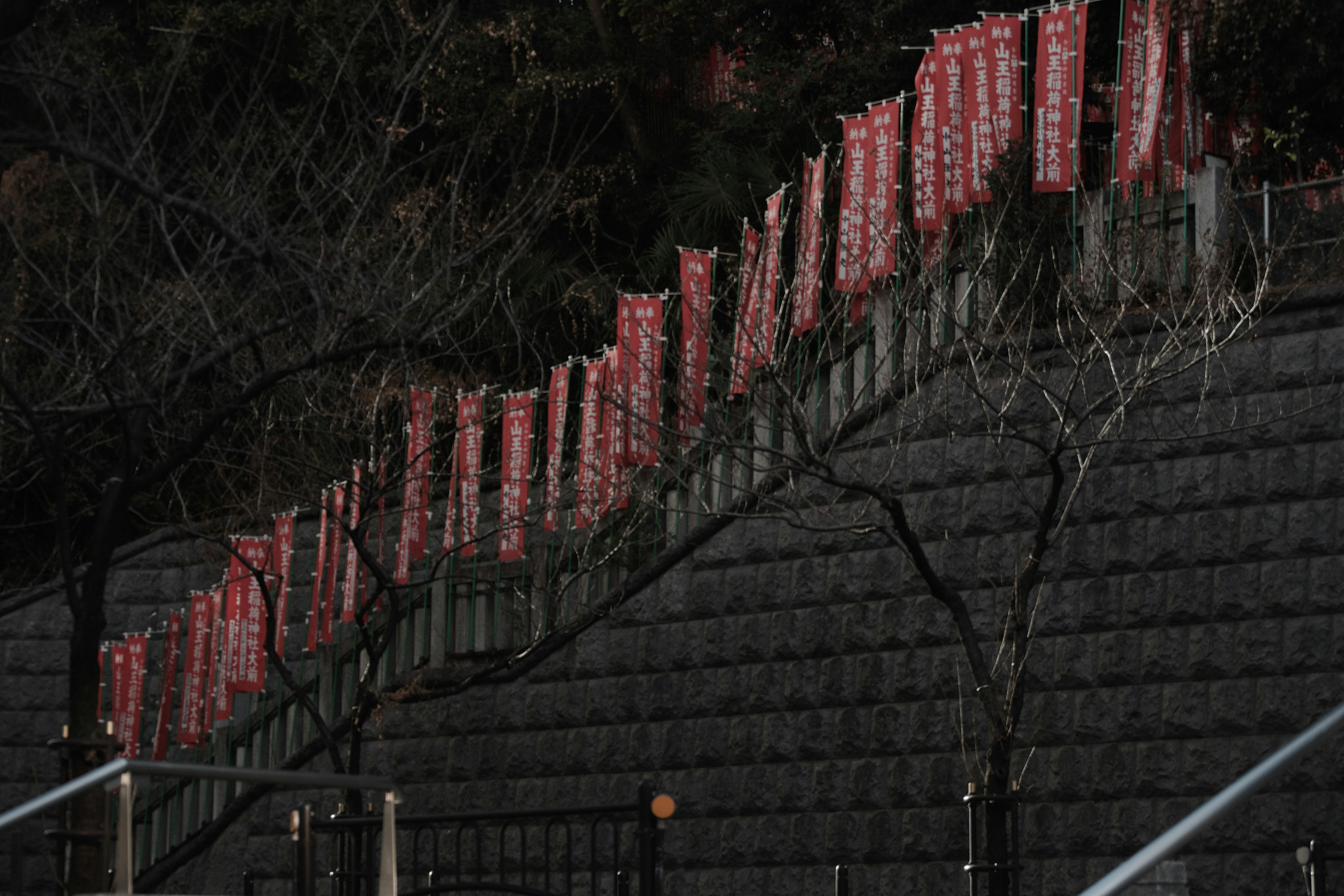 Lanternes rouges alignées le long d'un escalier la nuit avec des branches nues