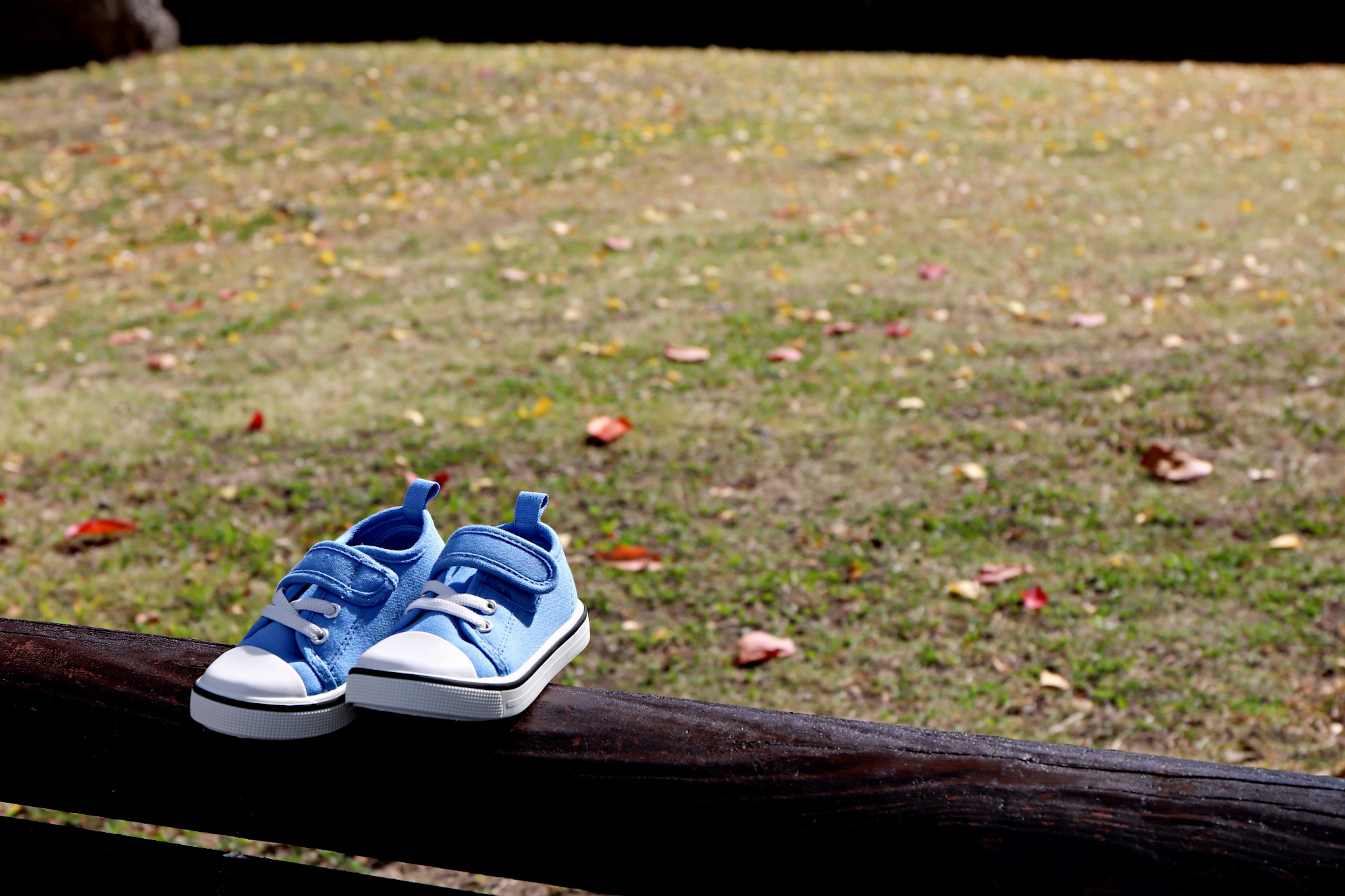 Baskets bleues posées sur une clôture en bois avec un arrière-plan herbeux