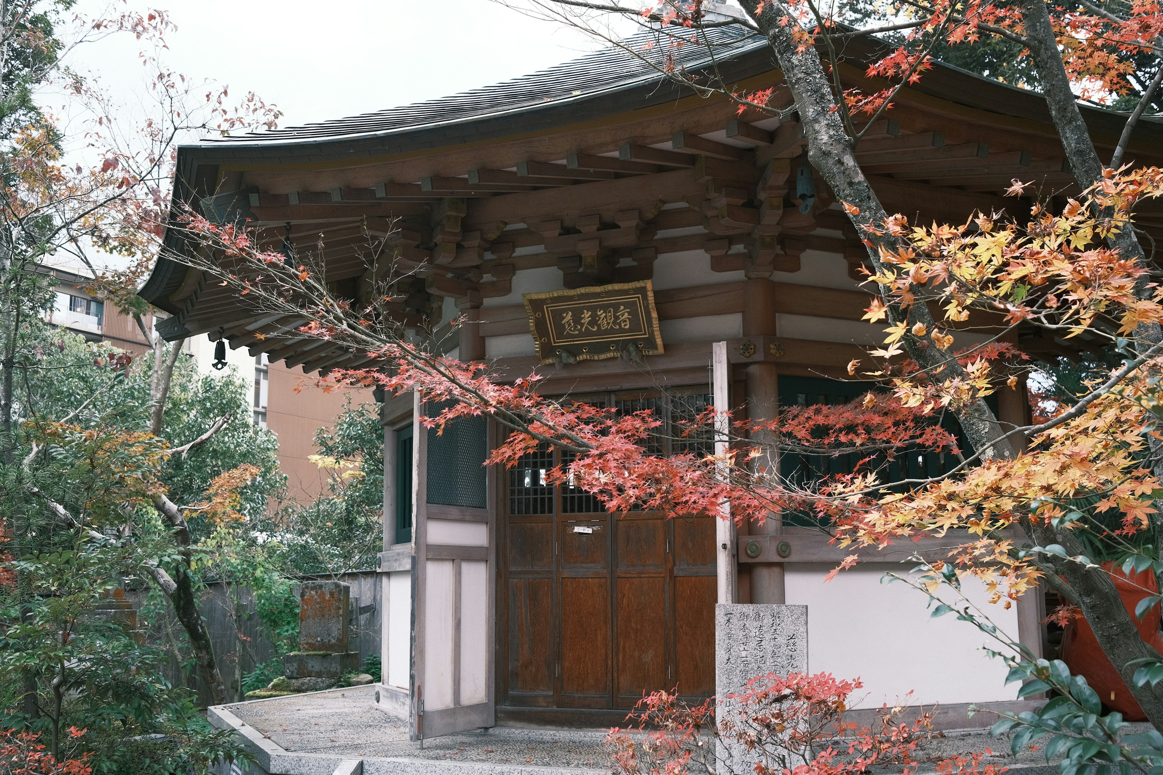 美しい紅葉に囲まれた伝統的な日本の建物